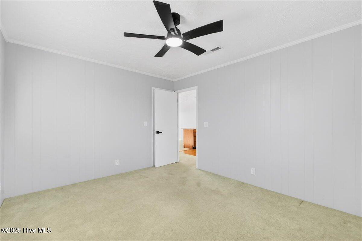 100531909 | Photo 19