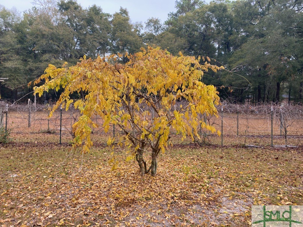 1165 Chimney Road, Rincon, GA, 31326