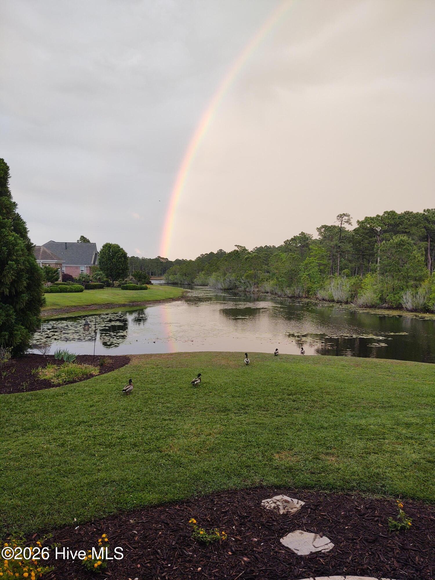 100555676 | Photo 55