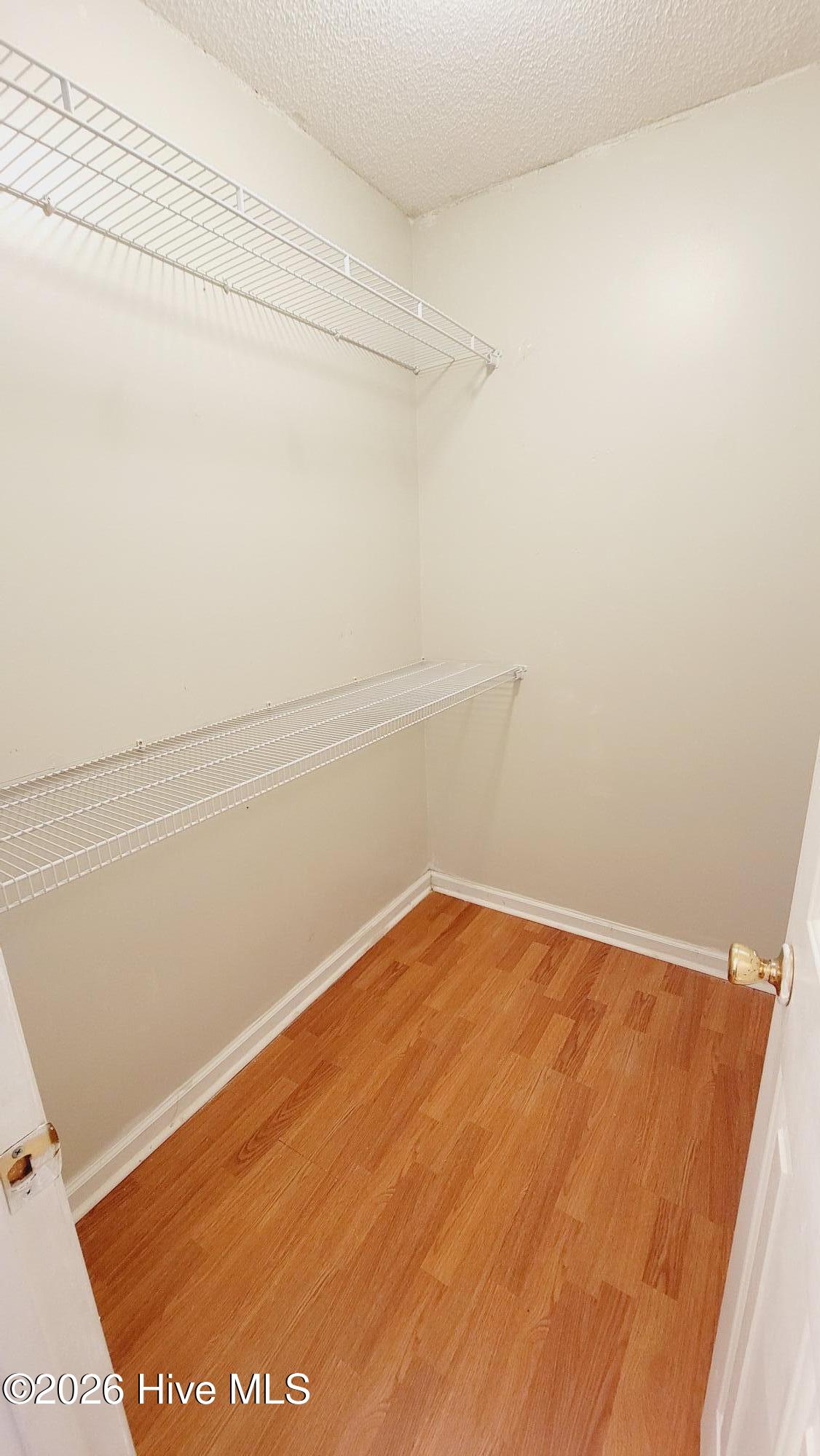 100548735 | Photo 19