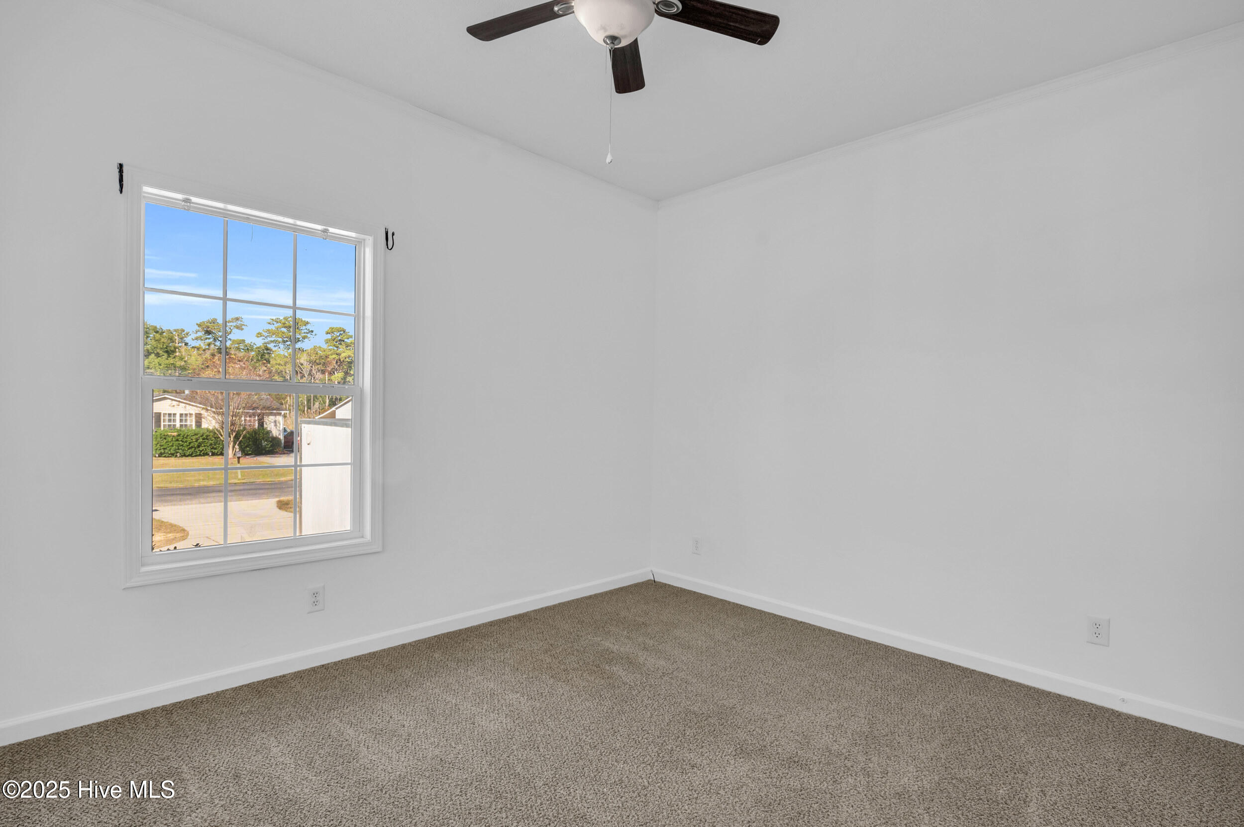 100539826 | Photo 25