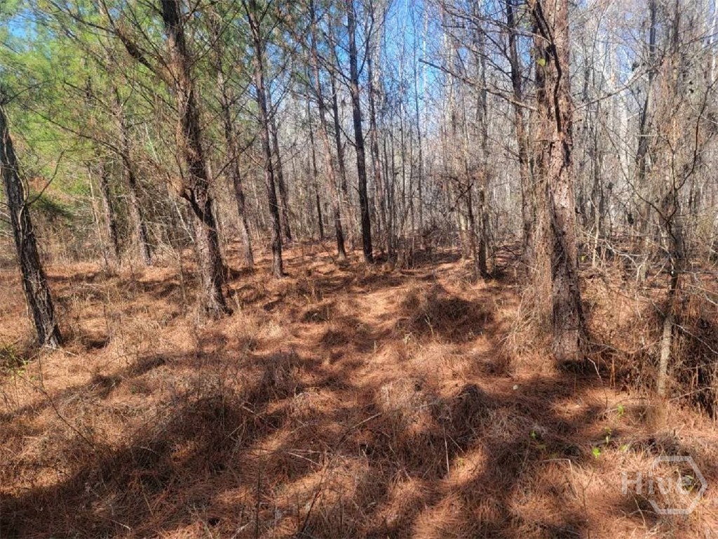 Homes for sale in Midville, GA | 02 Saint Galilee Rd, Midville, GA 30401 | MLS# SA350354