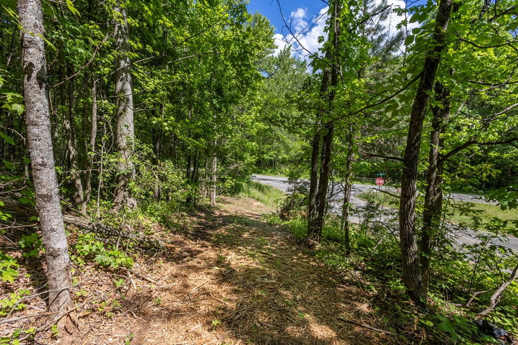 Exterior photo of 4.2 acre Donley Road, Murphy, NC 28906. MLS: 98544640