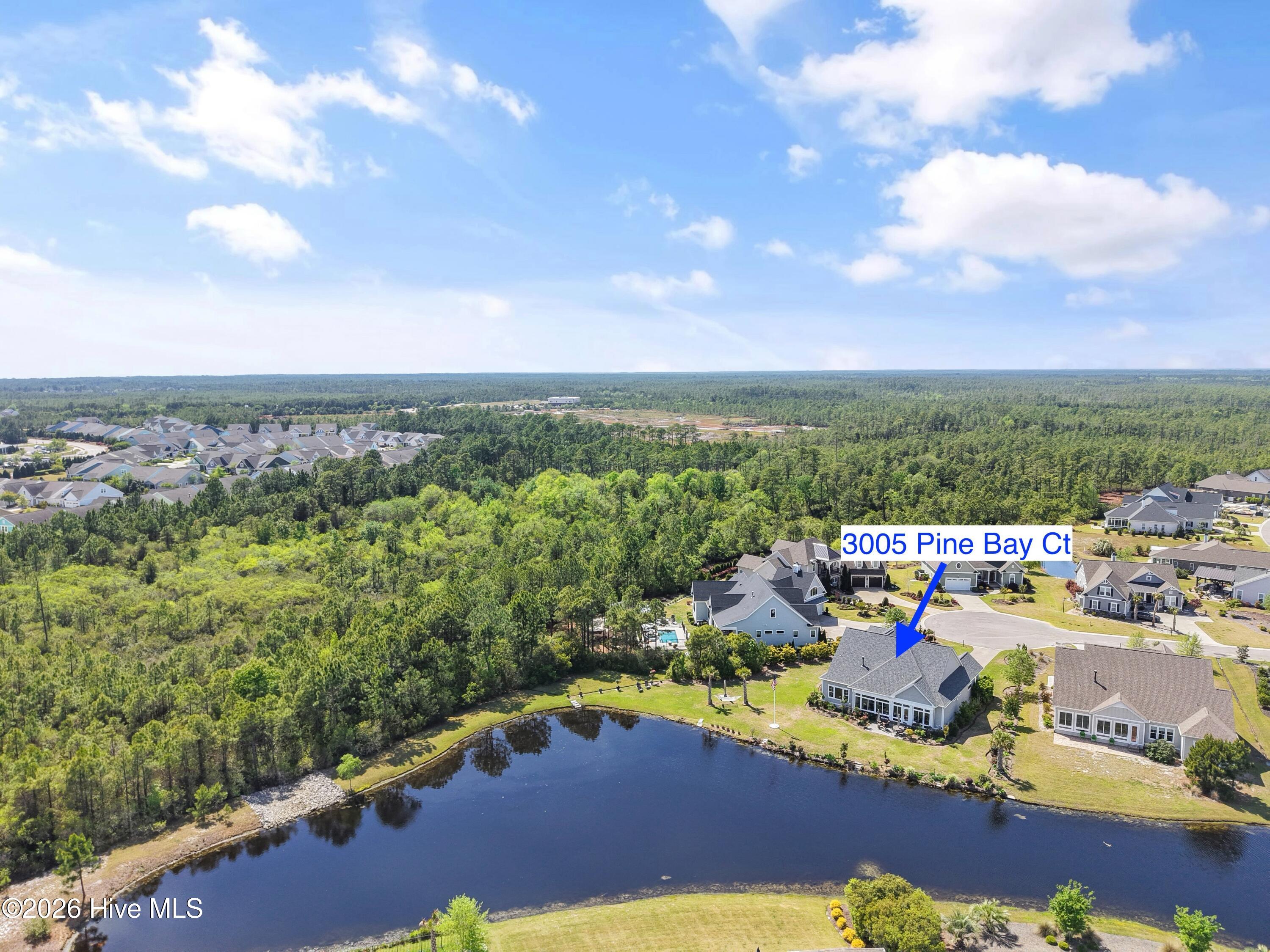 100560288 | Photo 105