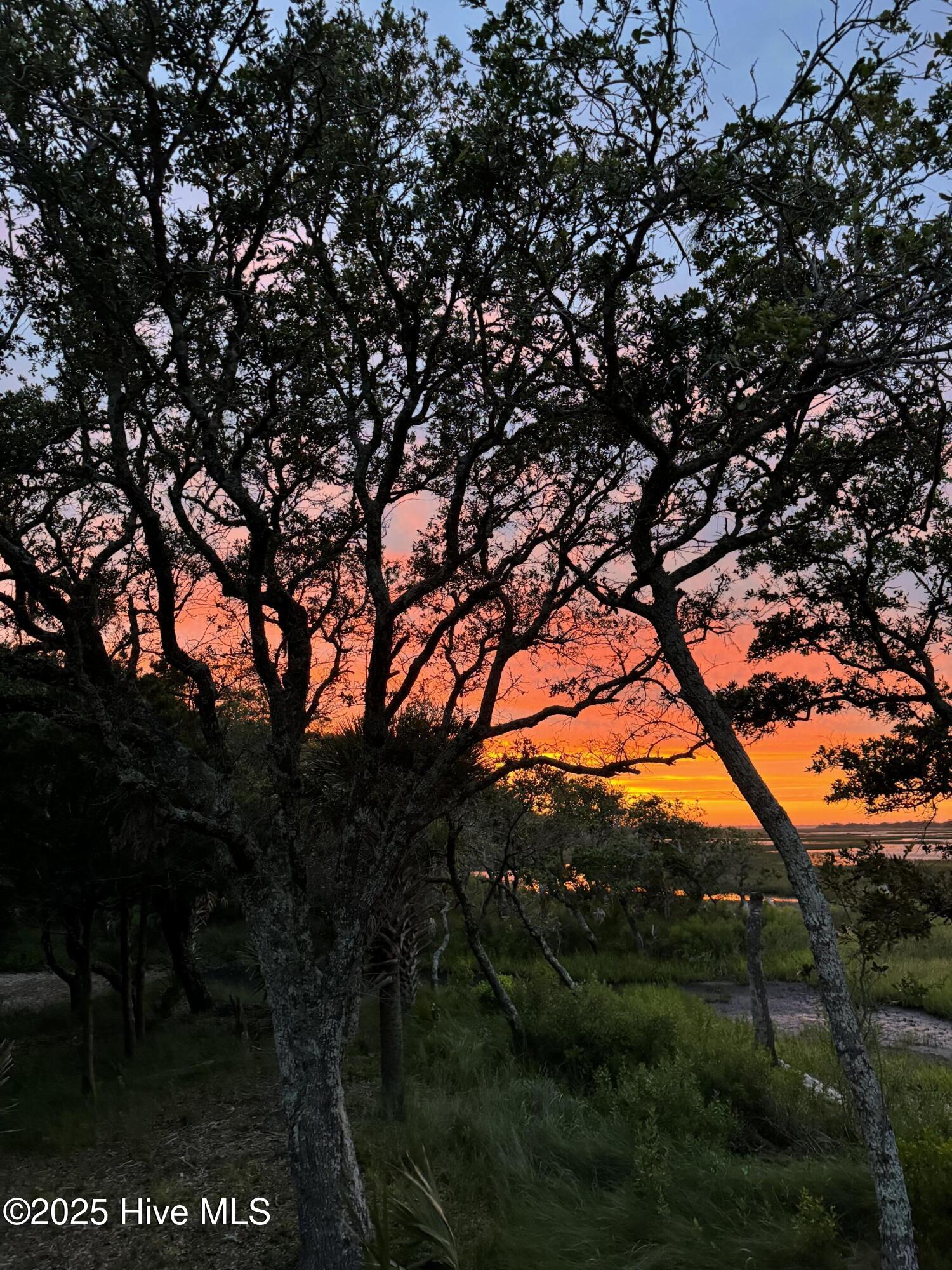 100531454 | Photo 96