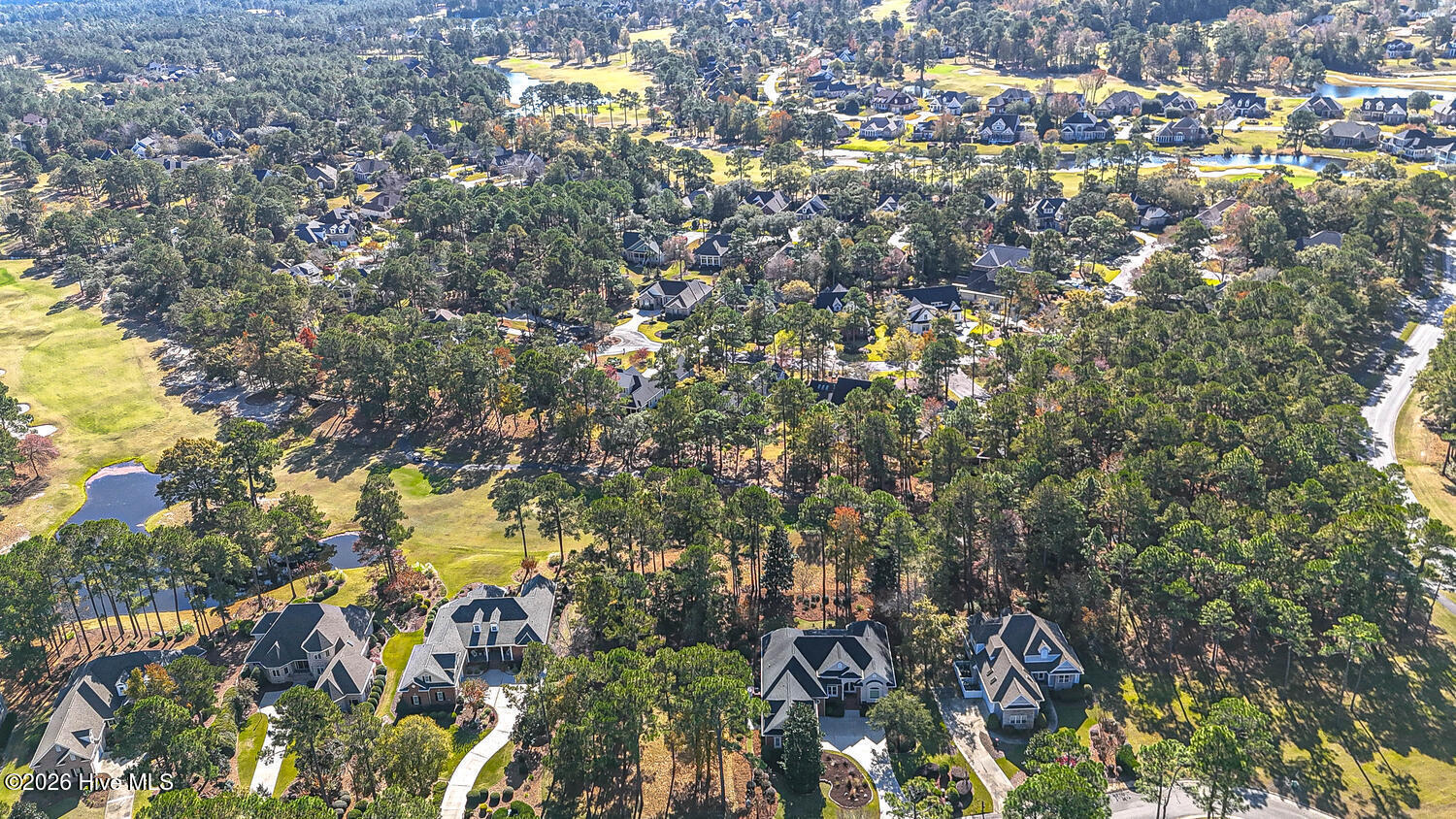 100551245 | Photo 69