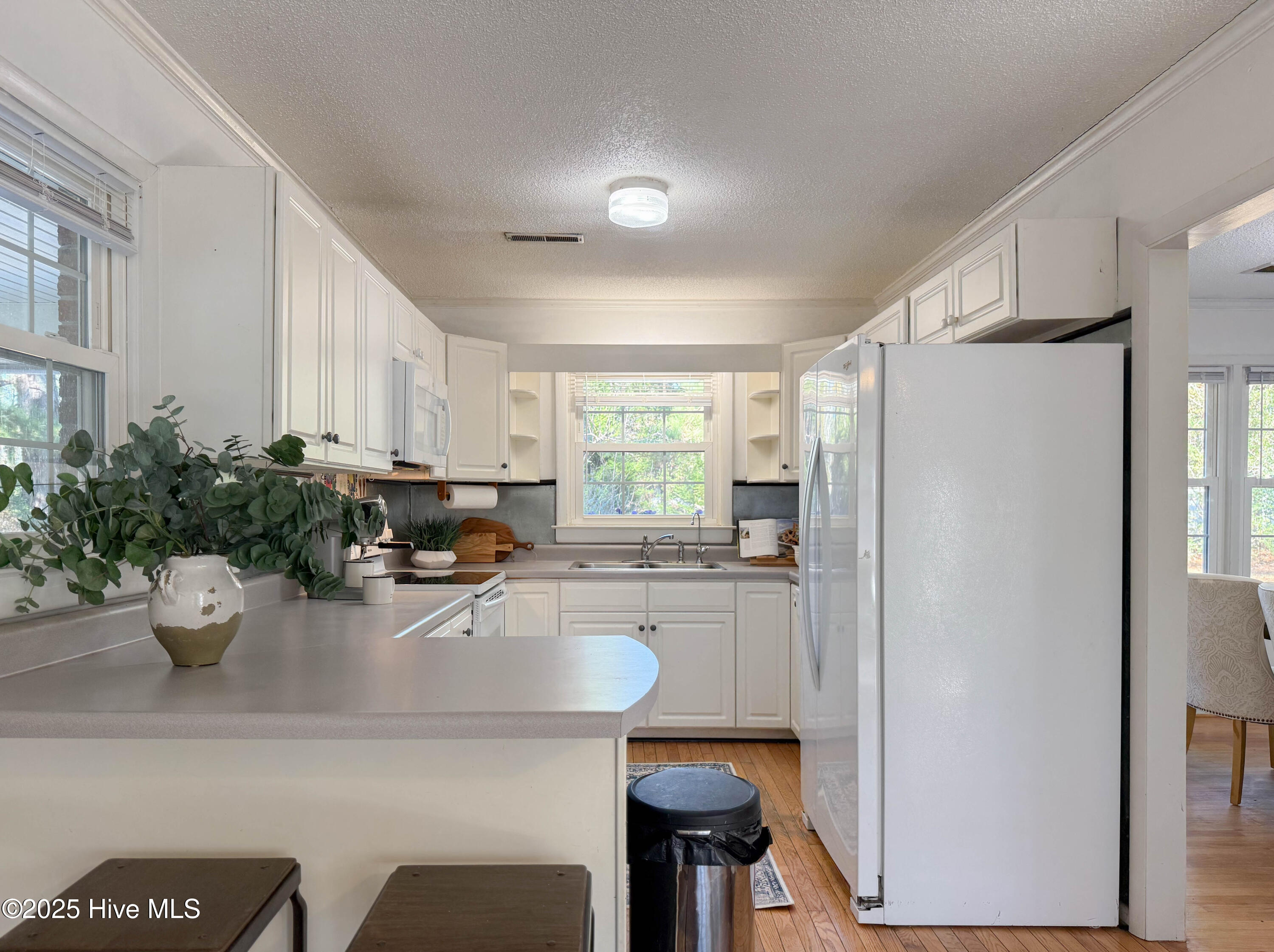 100546287 | Photo 12