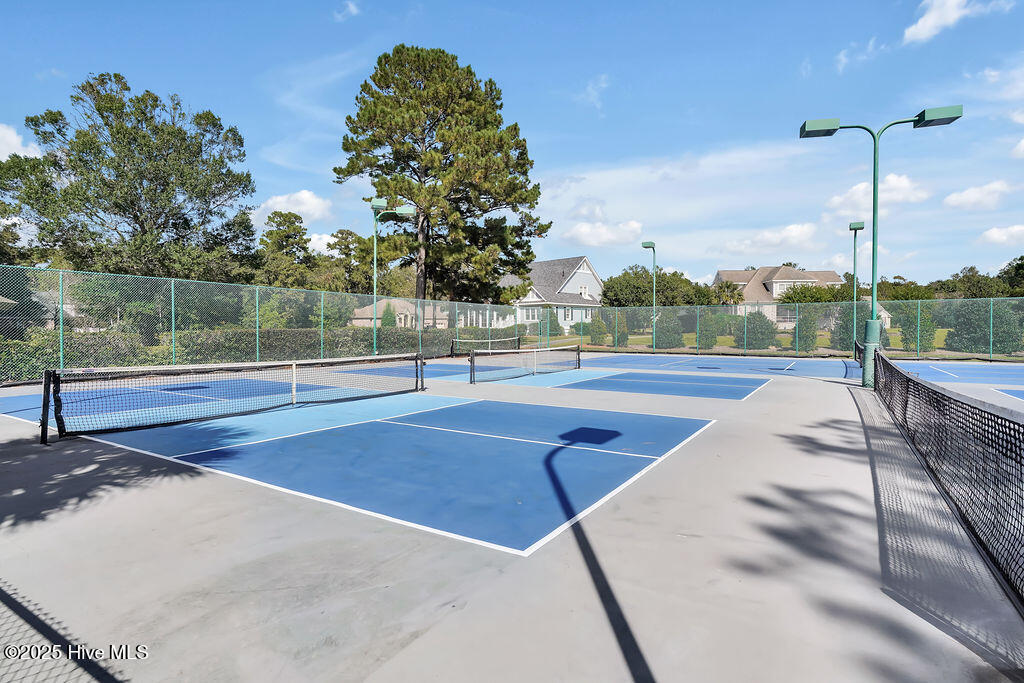 100535984 | Photo 148