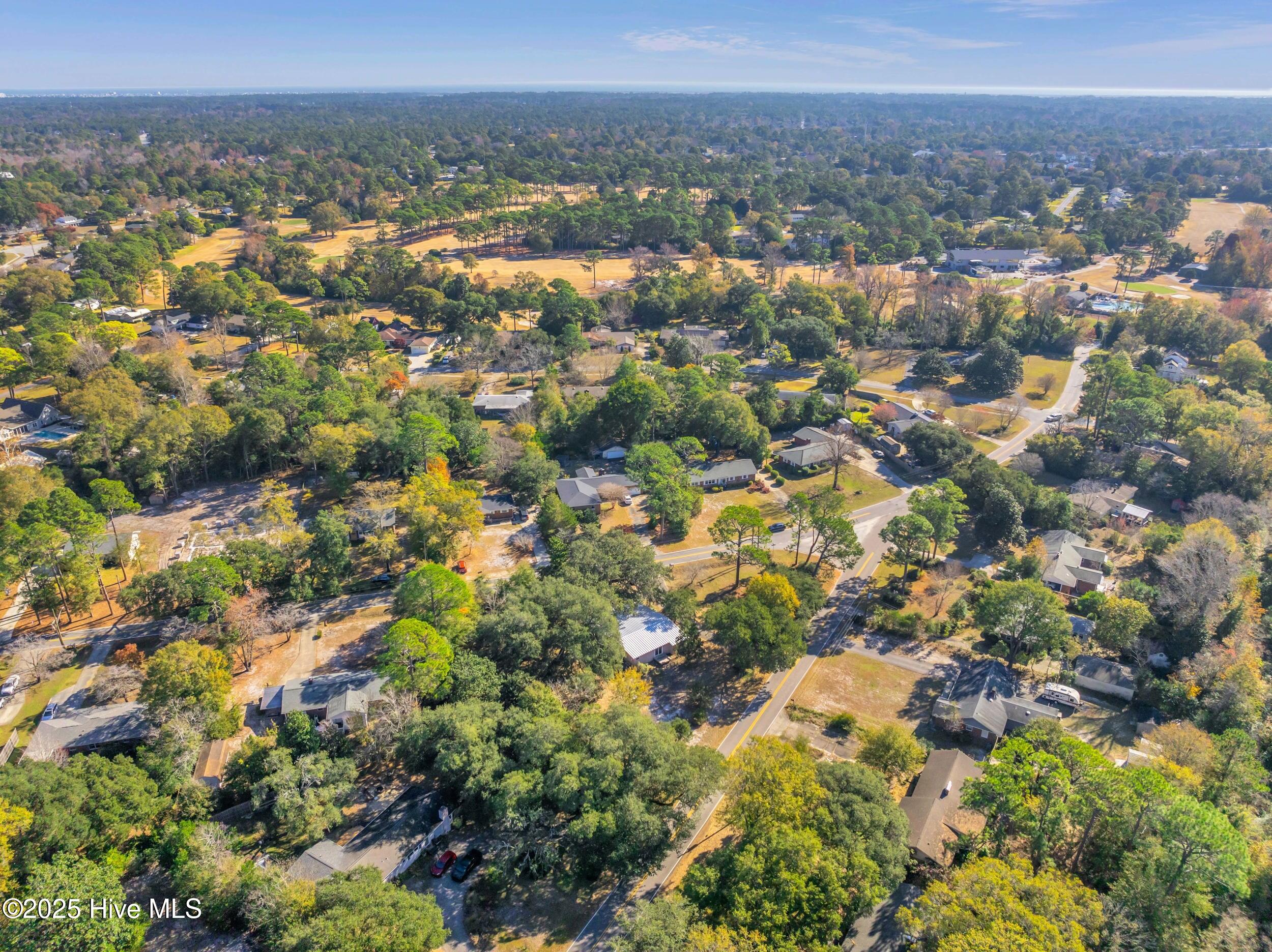 100532133 | Photo 53