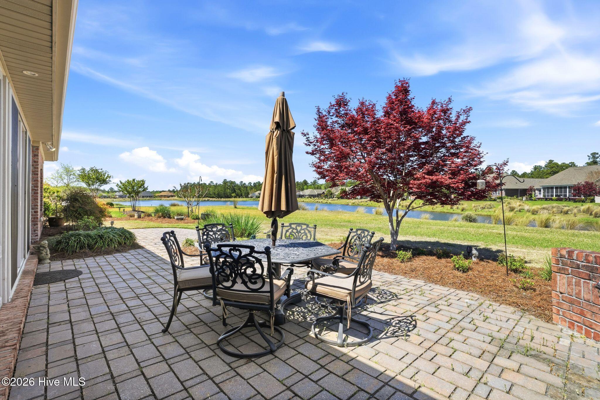 100565235 | Photo 61