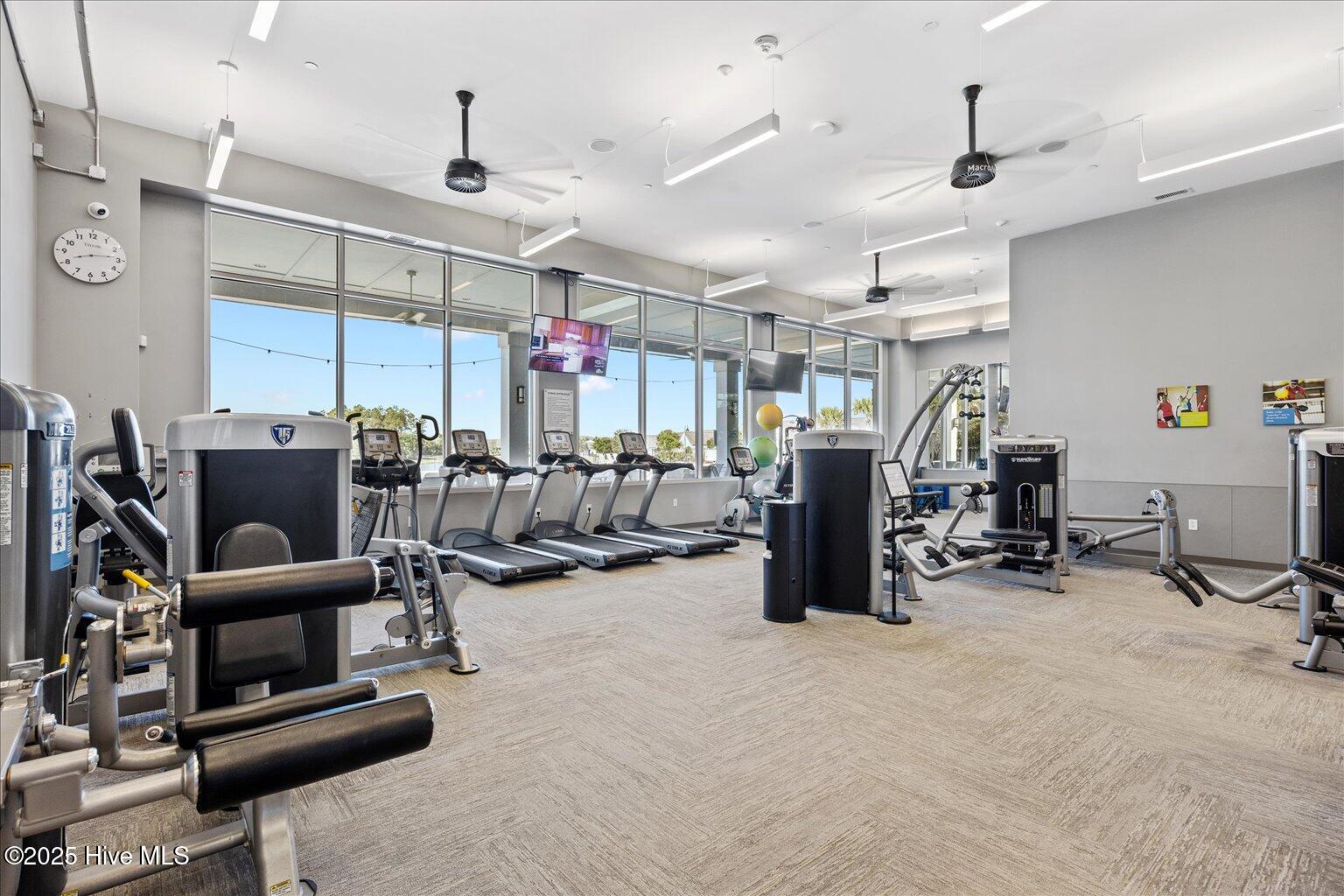 100509338 | Photo 57