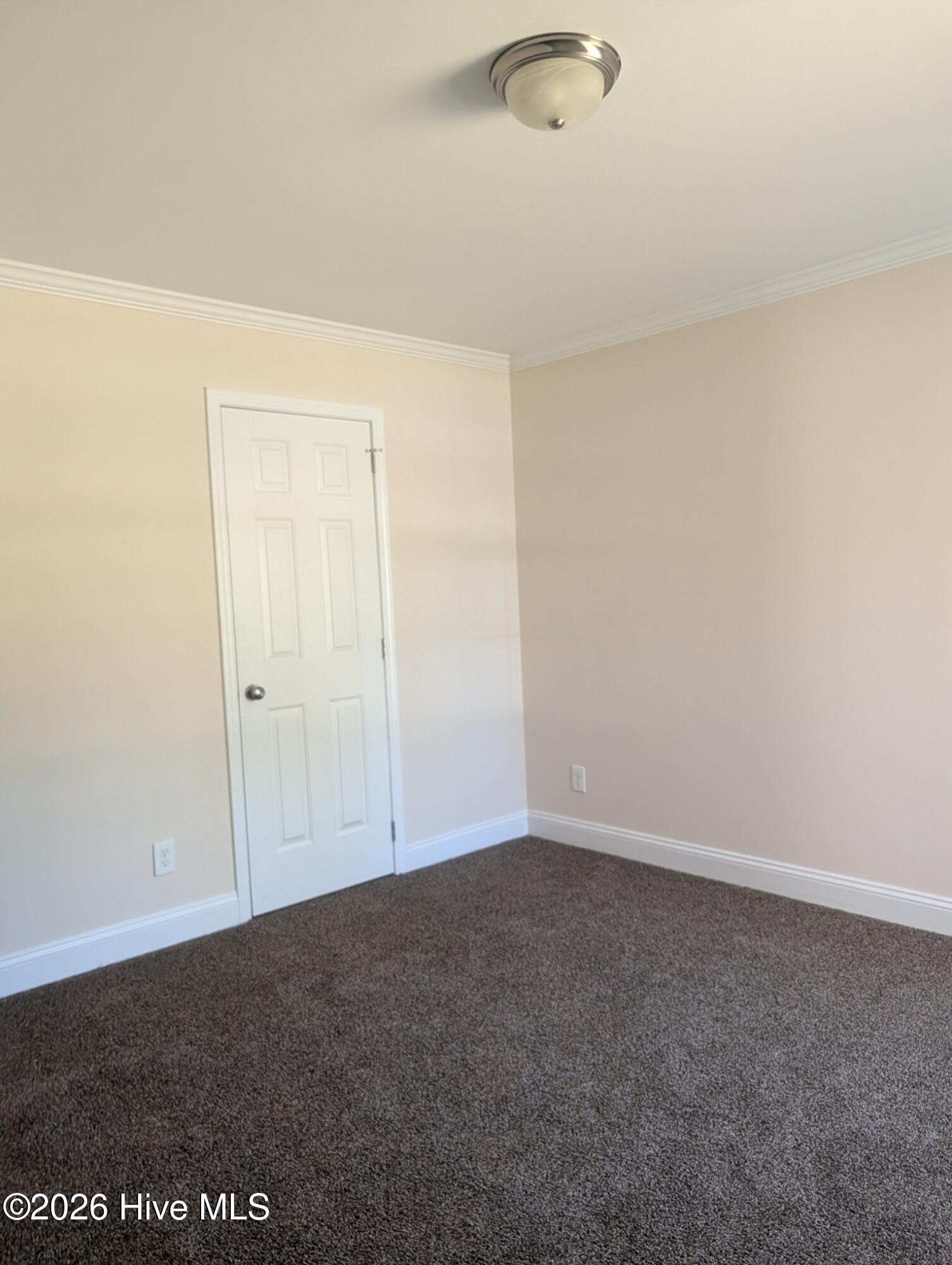 100565464 | Photo 11