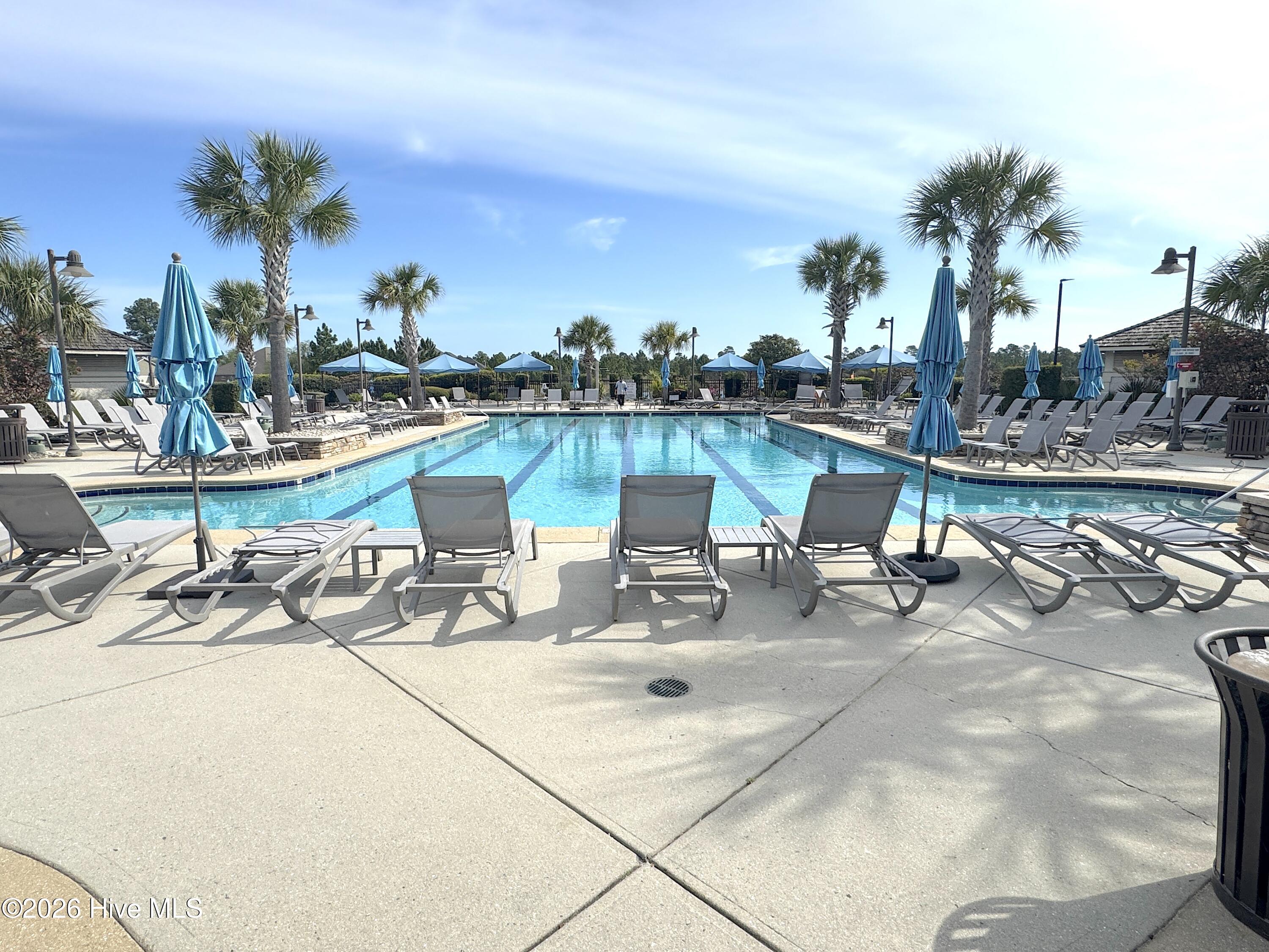 100564015 | Photo 39