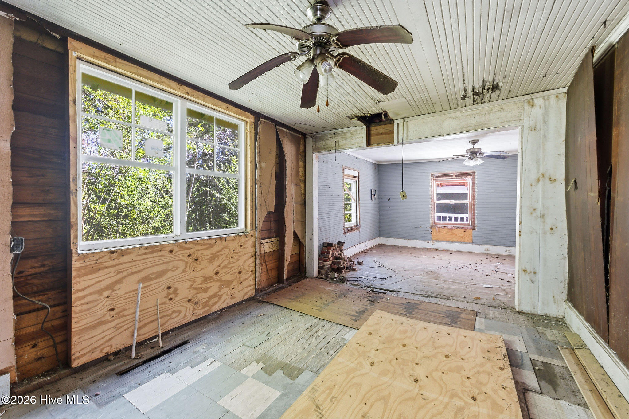 100561075 | Photo 13