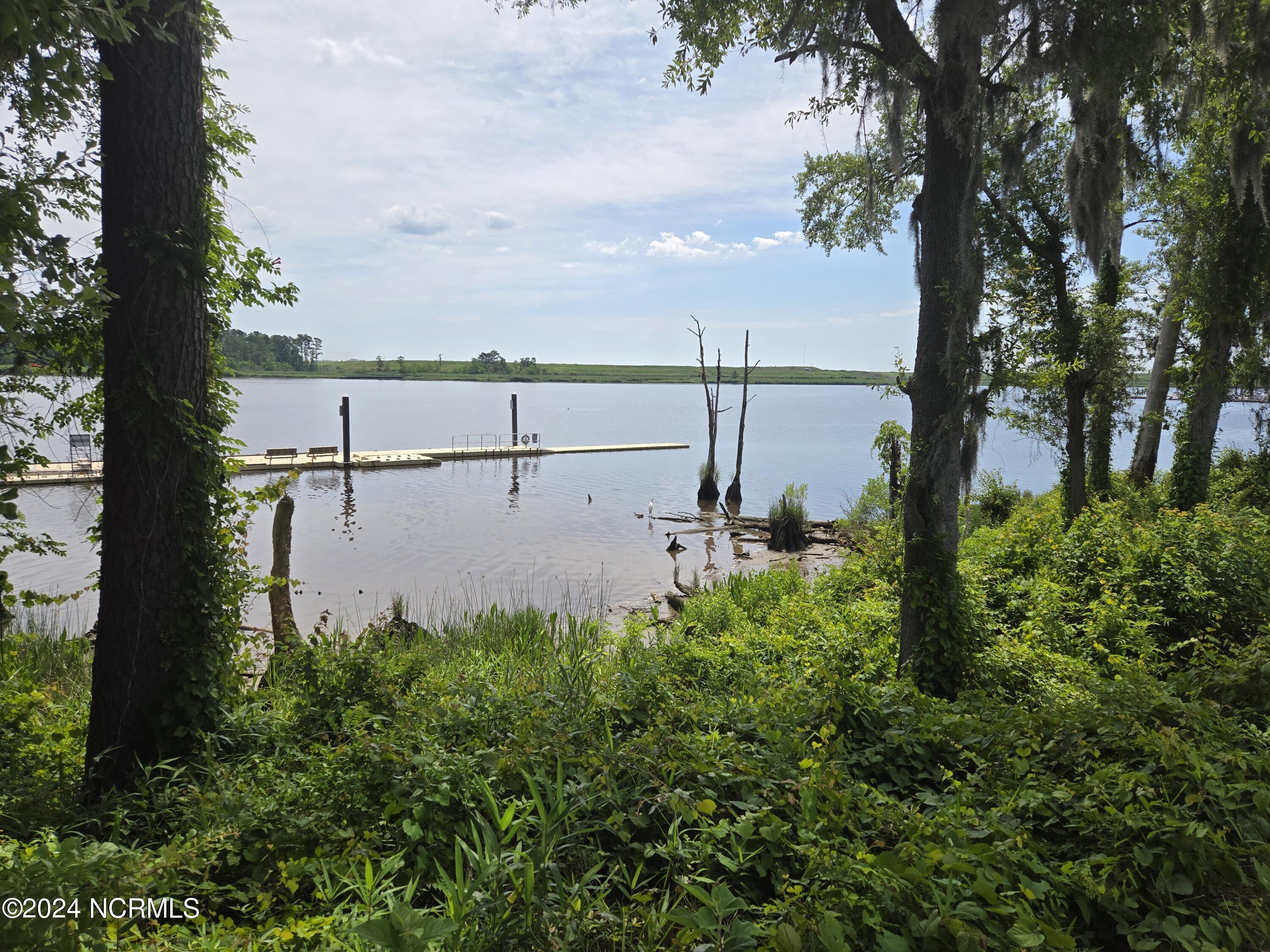 100454255 | Photo 34