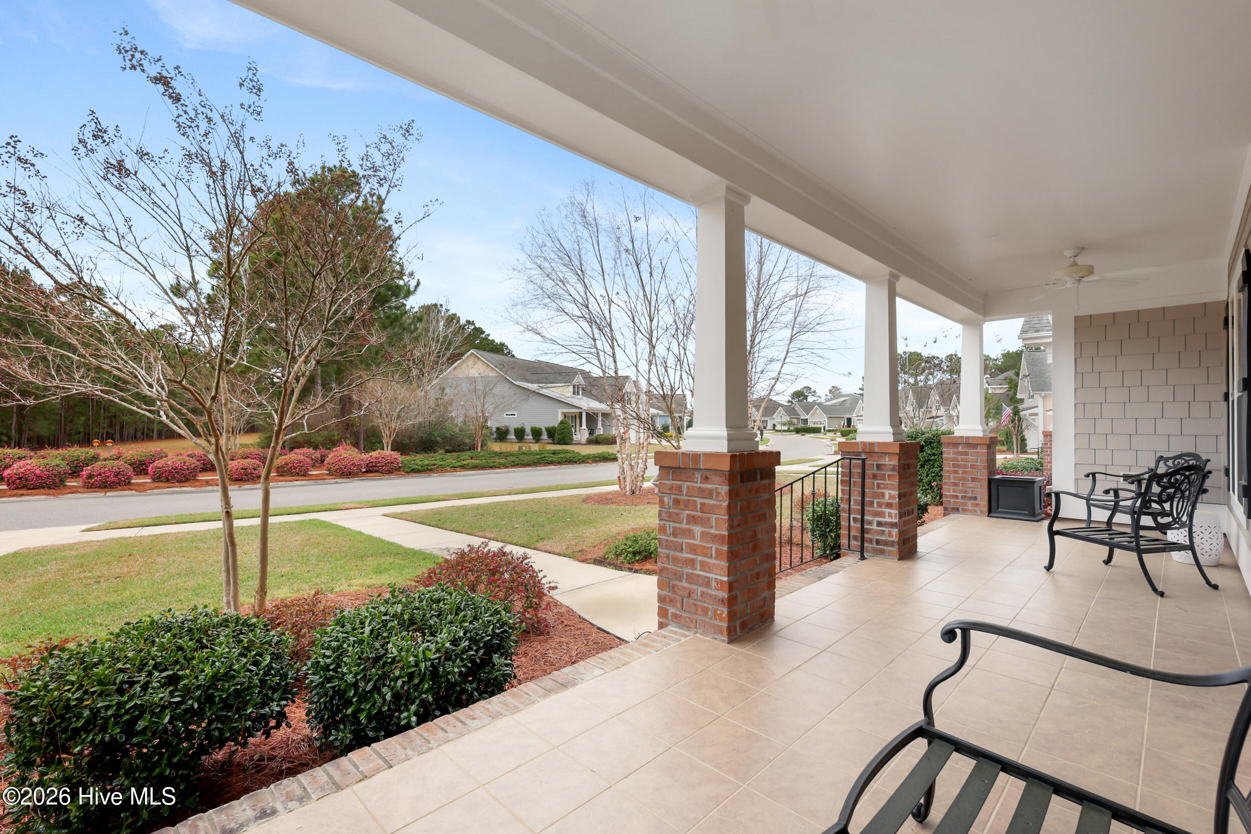 100561173 | Photo 11