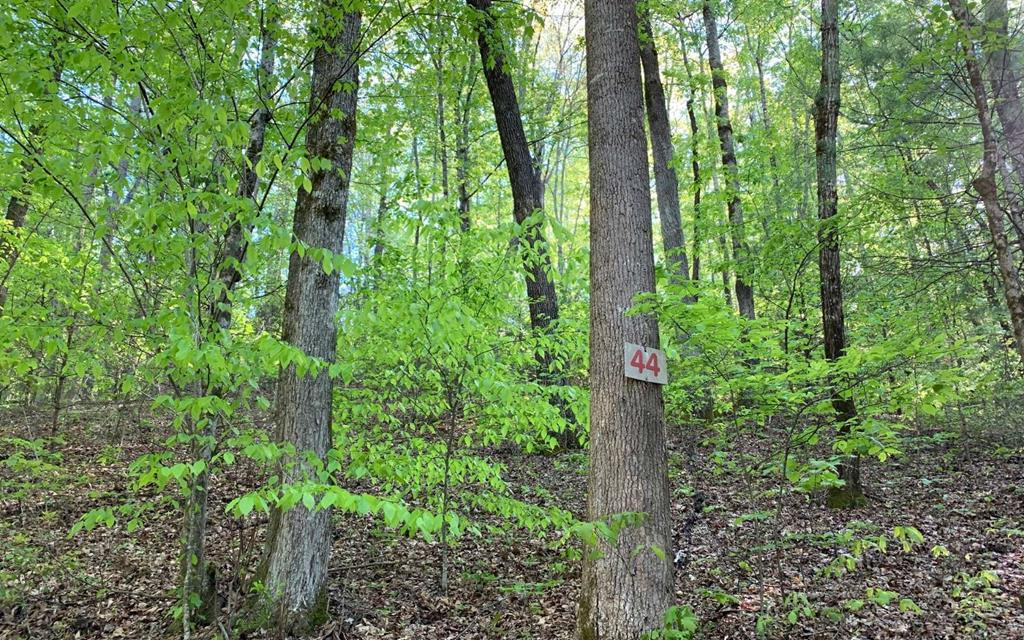 Photo 1 of Land for sale at Lot 44 Fires Creek Cvs, Hayesville, NC 28904 | MLS# 98543979 | Listing updated on 2026-06-02