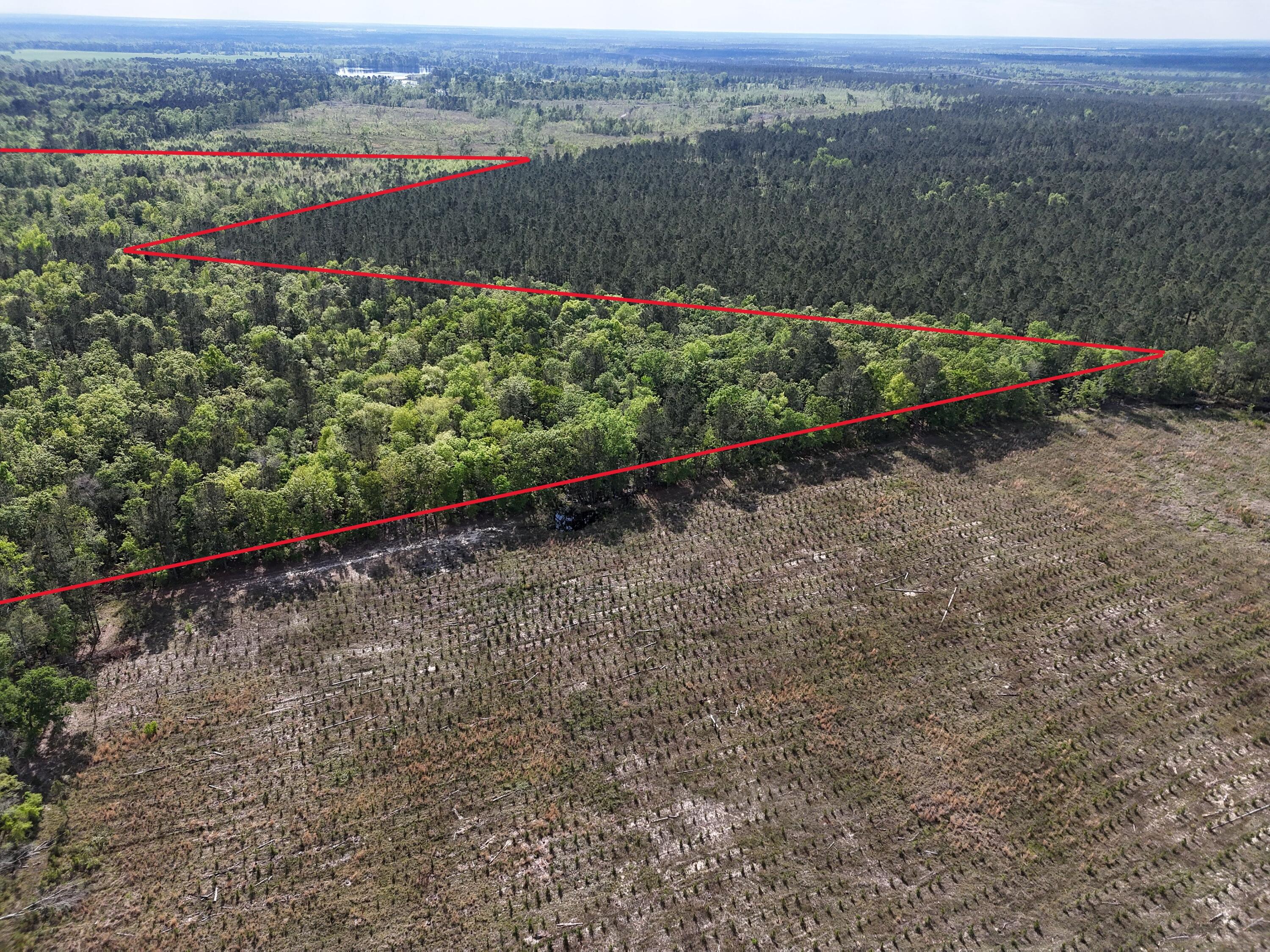 DJI_20250410043928_0020_D