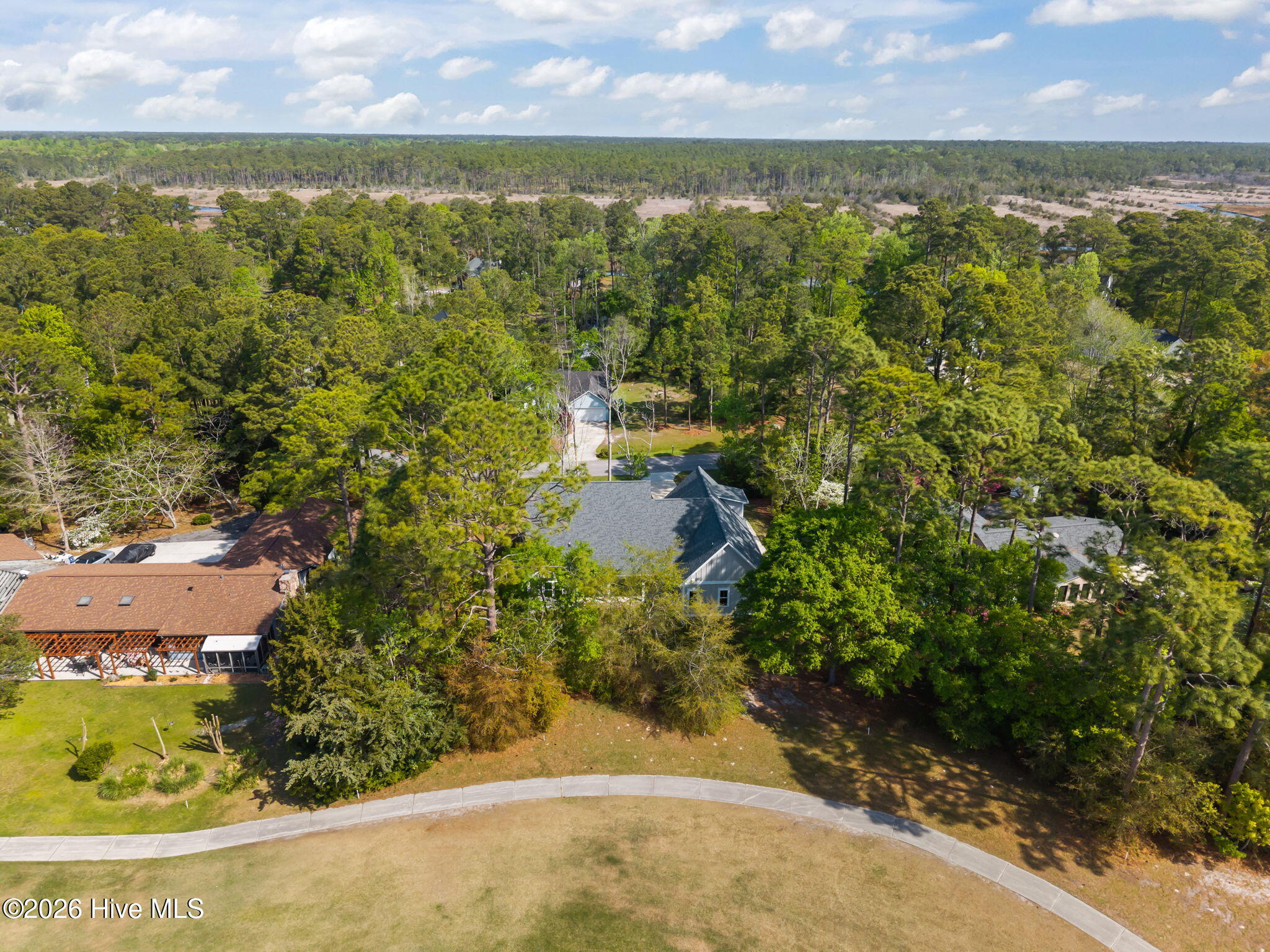 100568104 | Photo 13