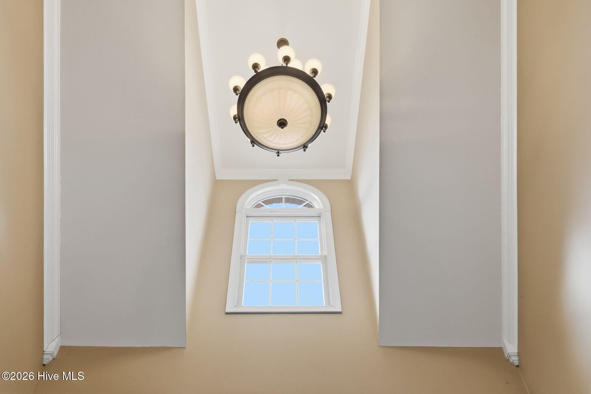 100565083 | Photo 44