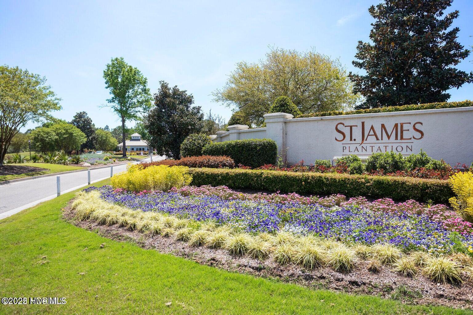 100561885 | Photo 100