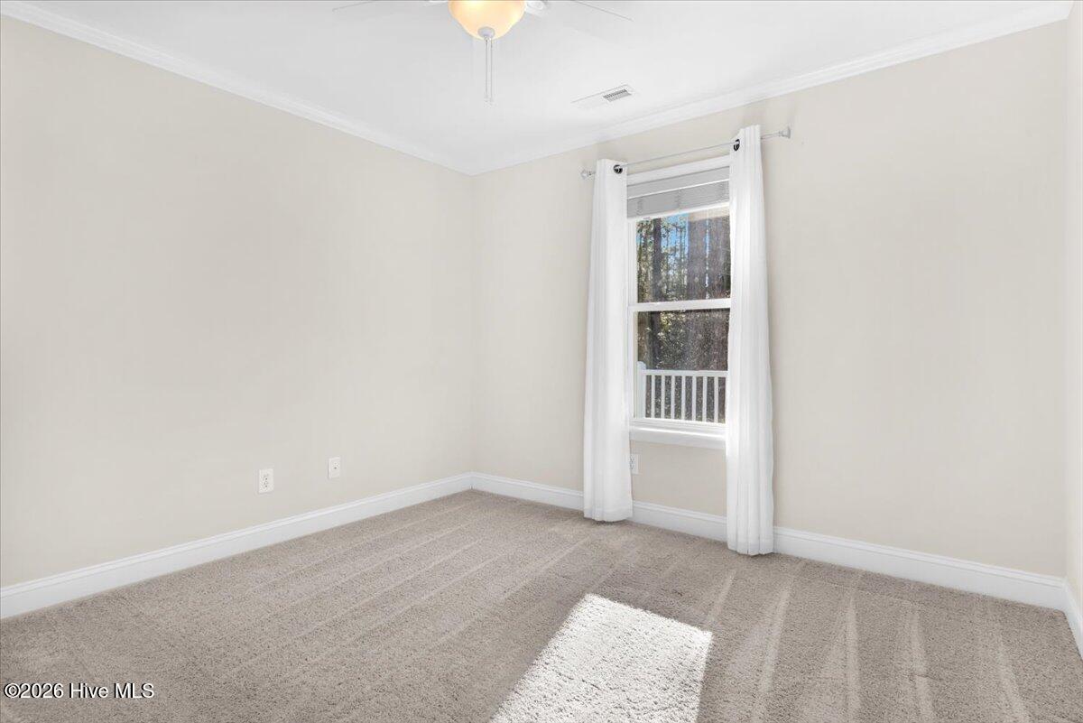 100556413 | Photo 30