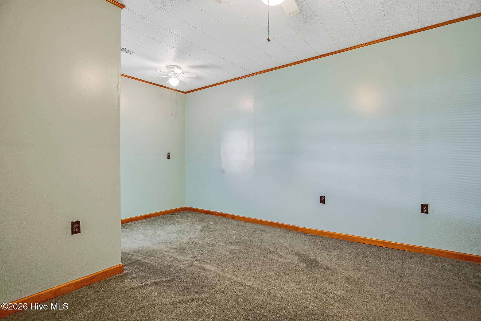 100561889 | Photo 27