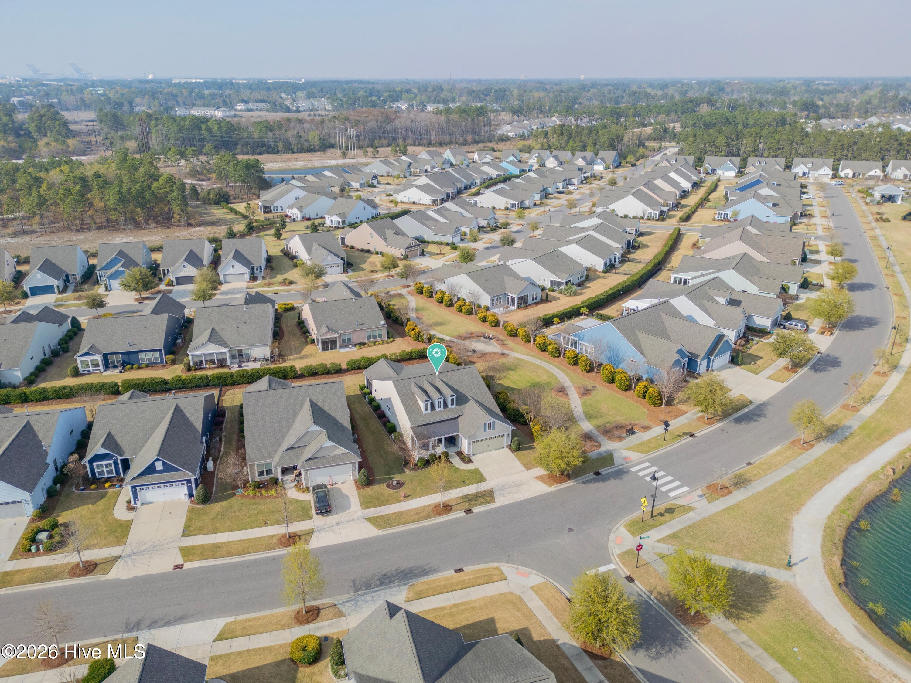 100562061 | Photo 29