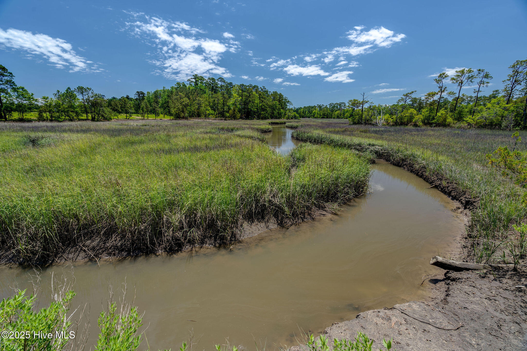 100540017 | Photo 78