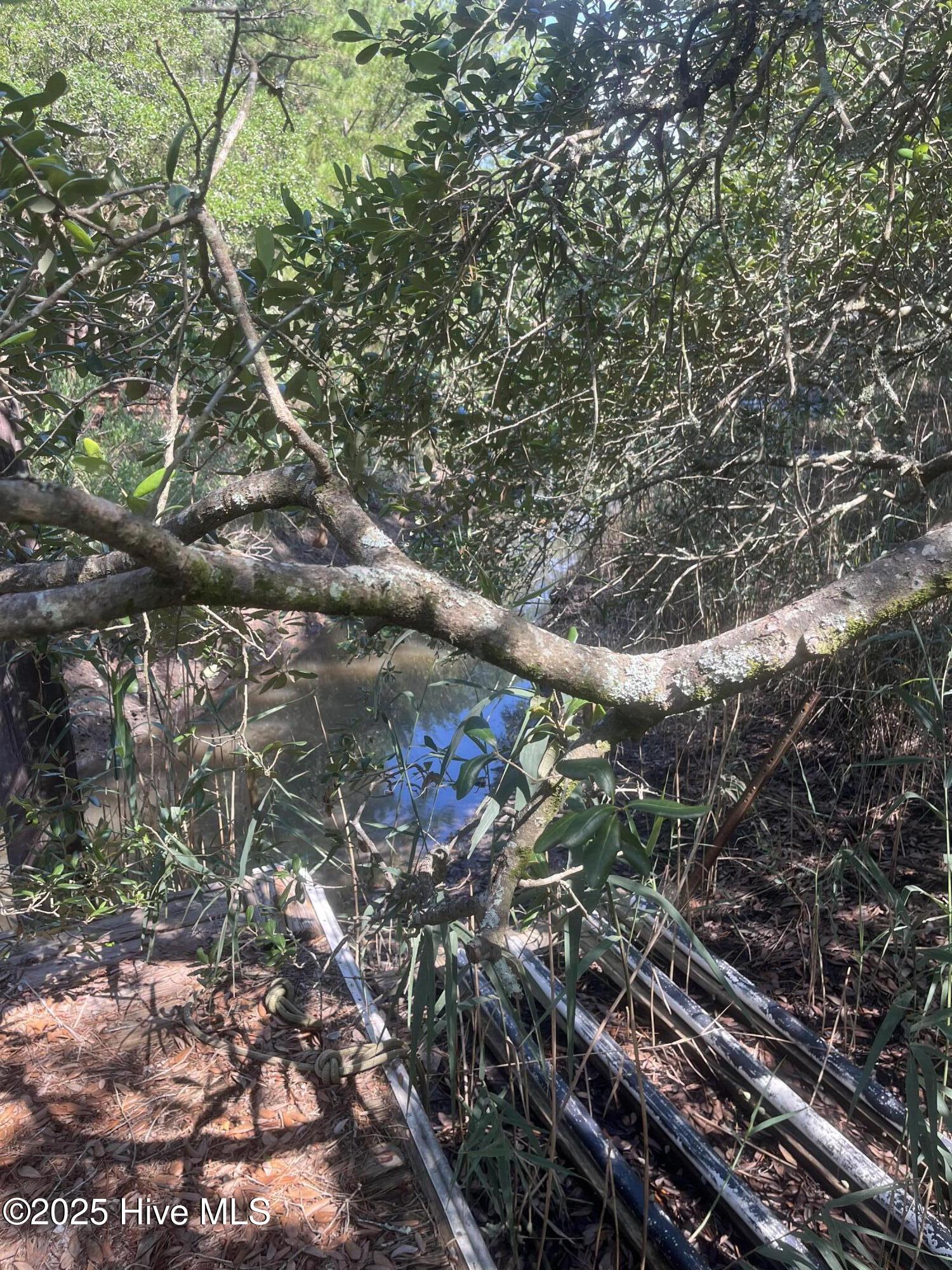 100521049 | Photo 47