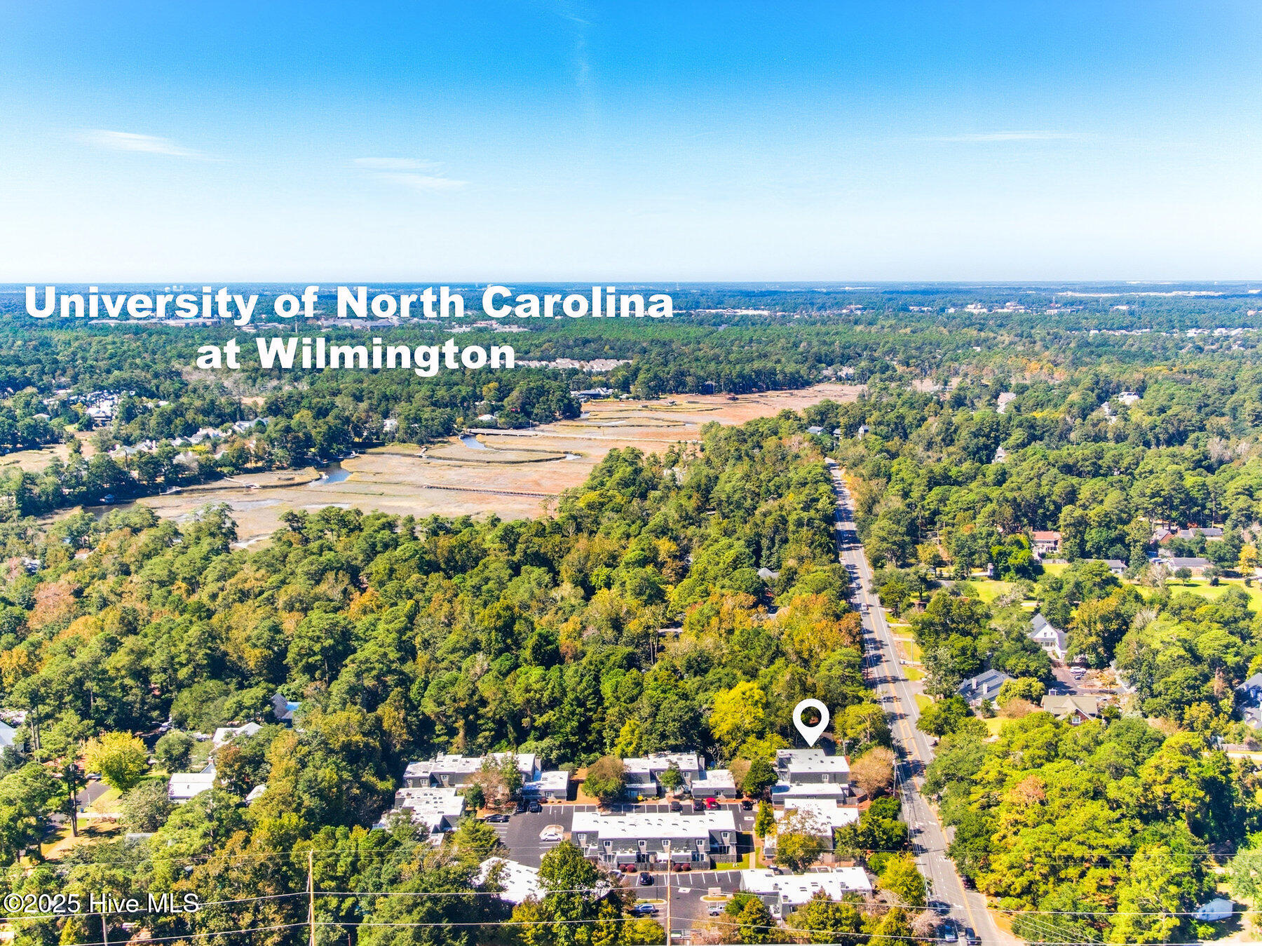 100532478 | Photo 29