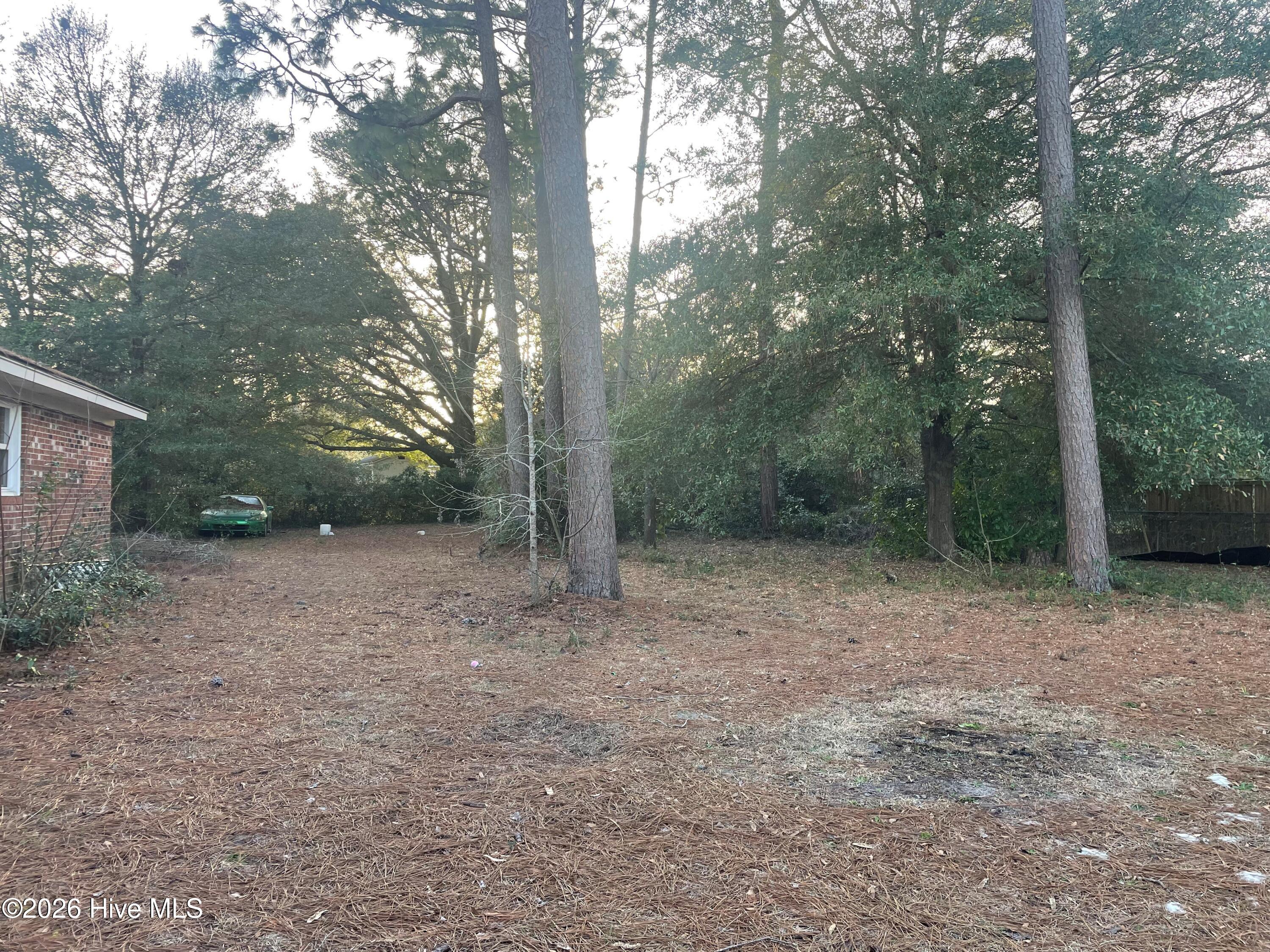 100558097 | Photo 11