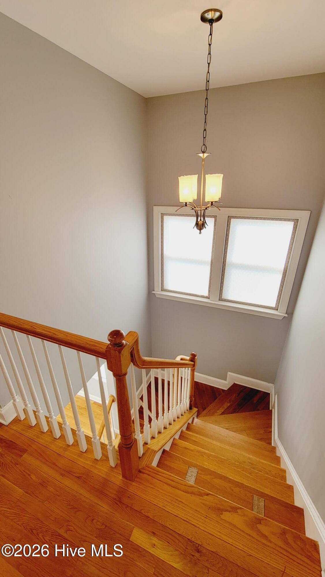 100569507 | Photo 11