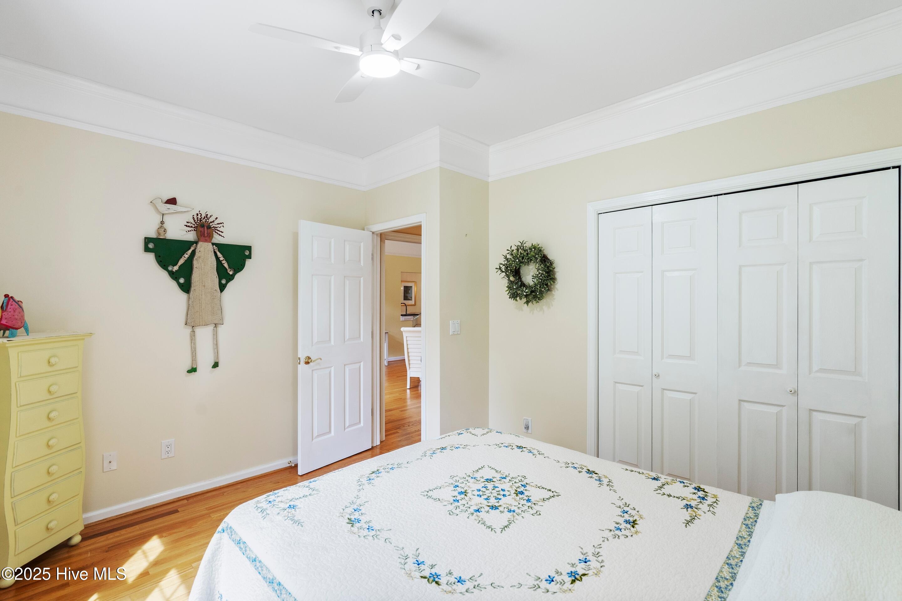 100530044 | Photo 35