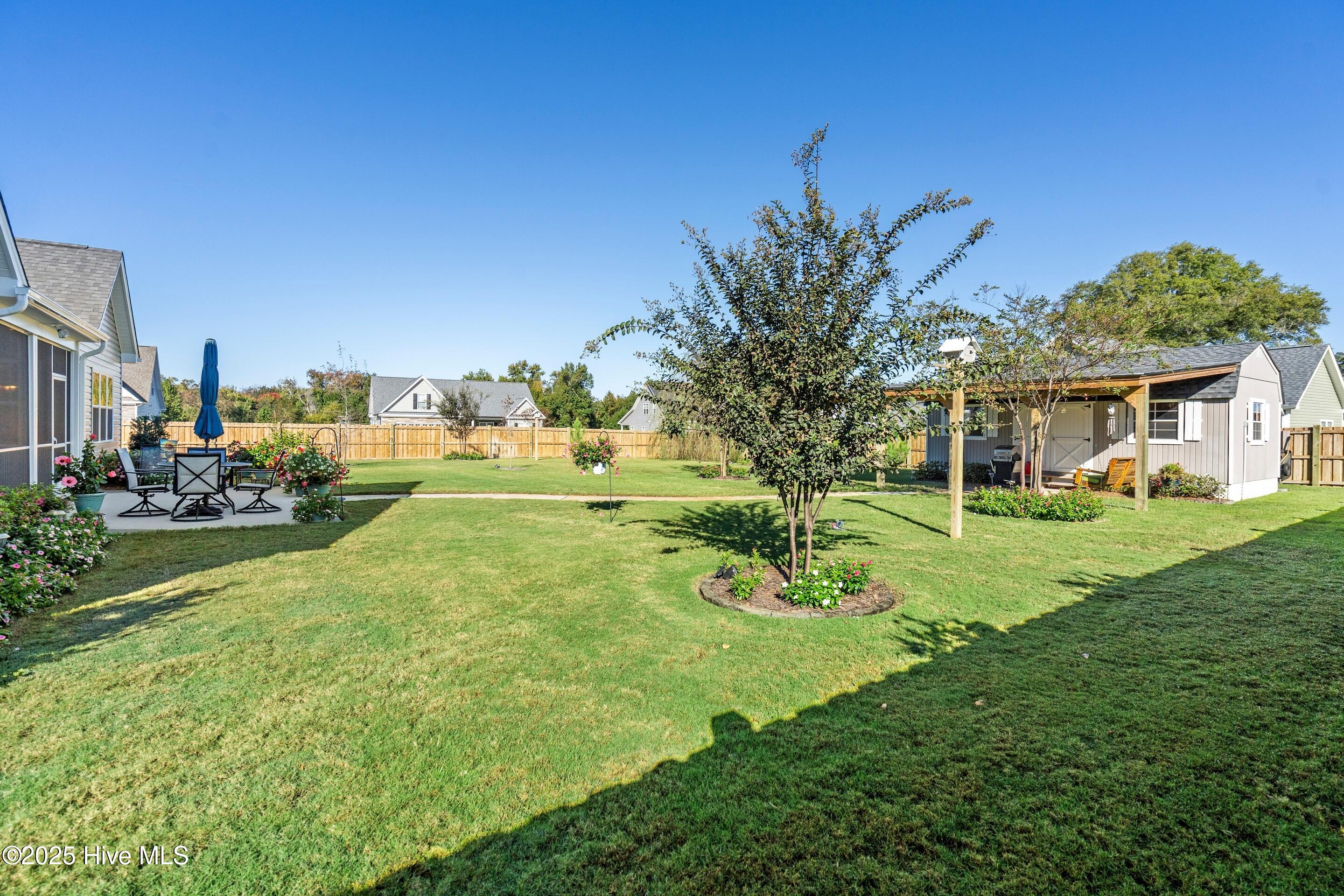 100538815 | Photo 65