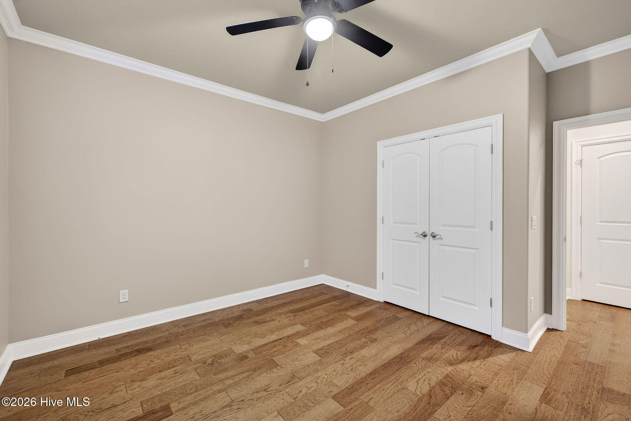 100557341 | Photo 23