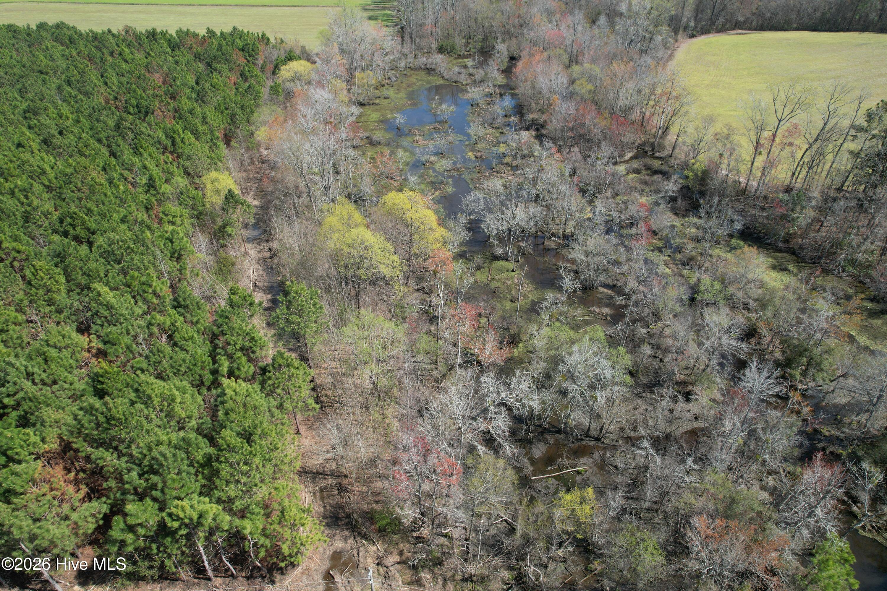 100560557 | Photo 13