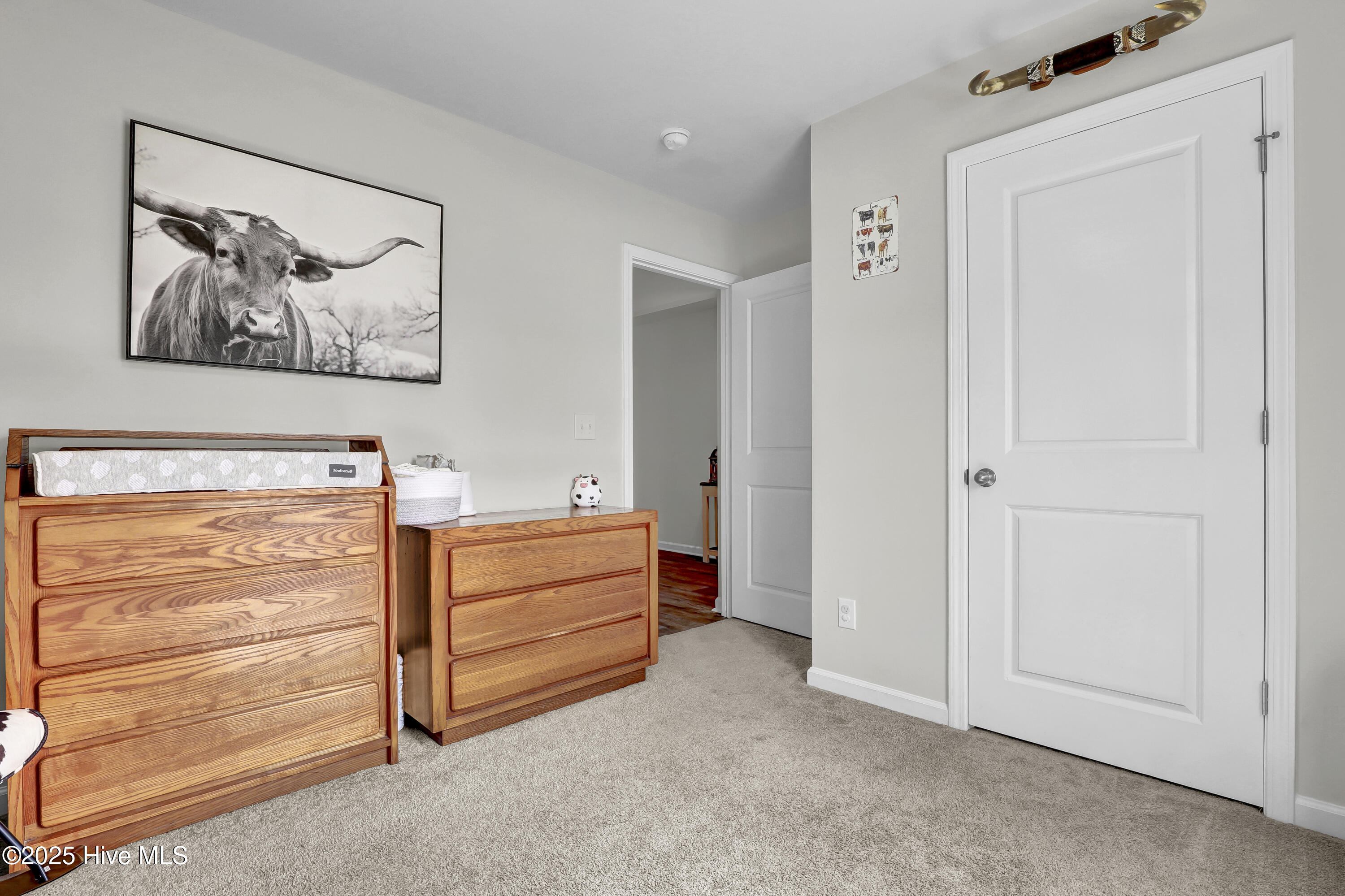 519 Birdsong Drive, Holly Ridge, NC 28445 – photo 20: Bedroom 2