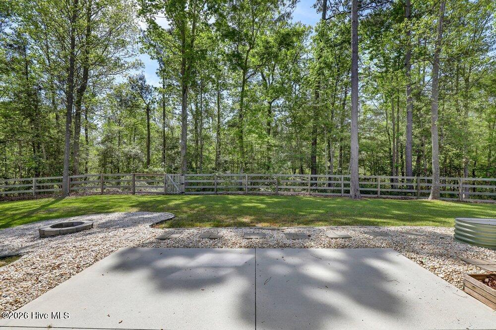 100567817 | Photo 25