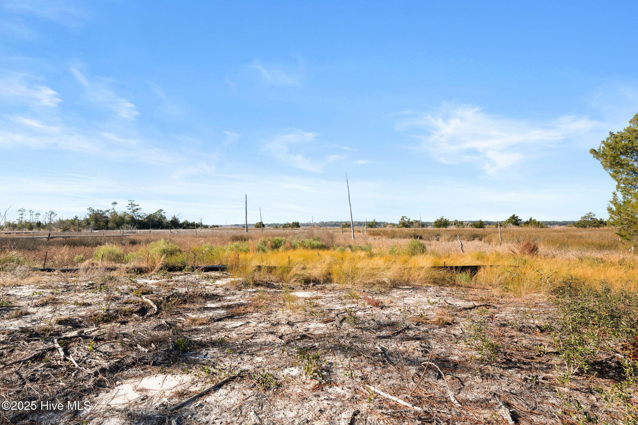 100546524 | Photo 10