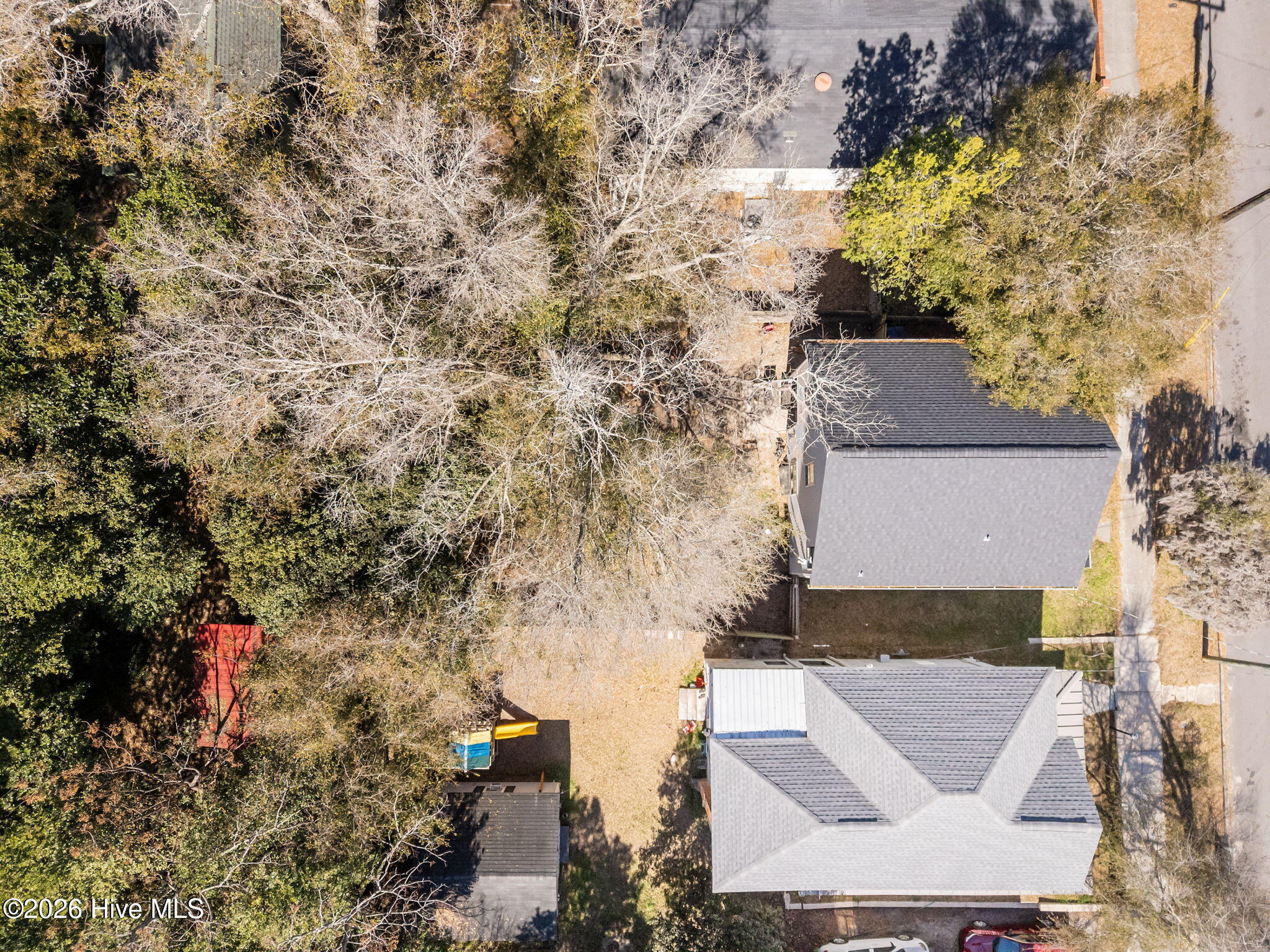 100556827 | Photo 30