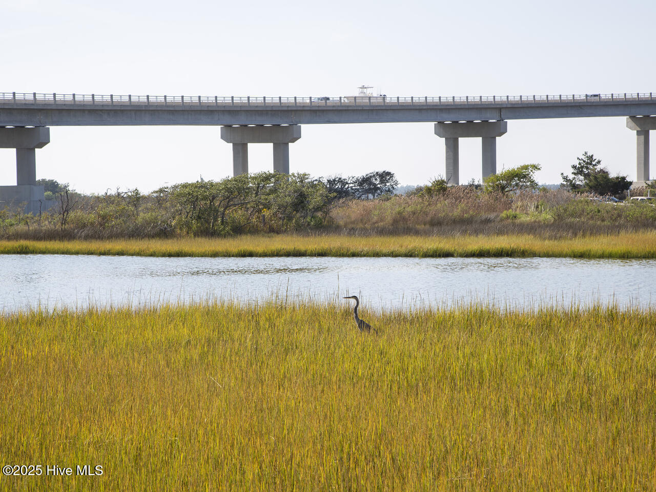 100545385 | Photo 48