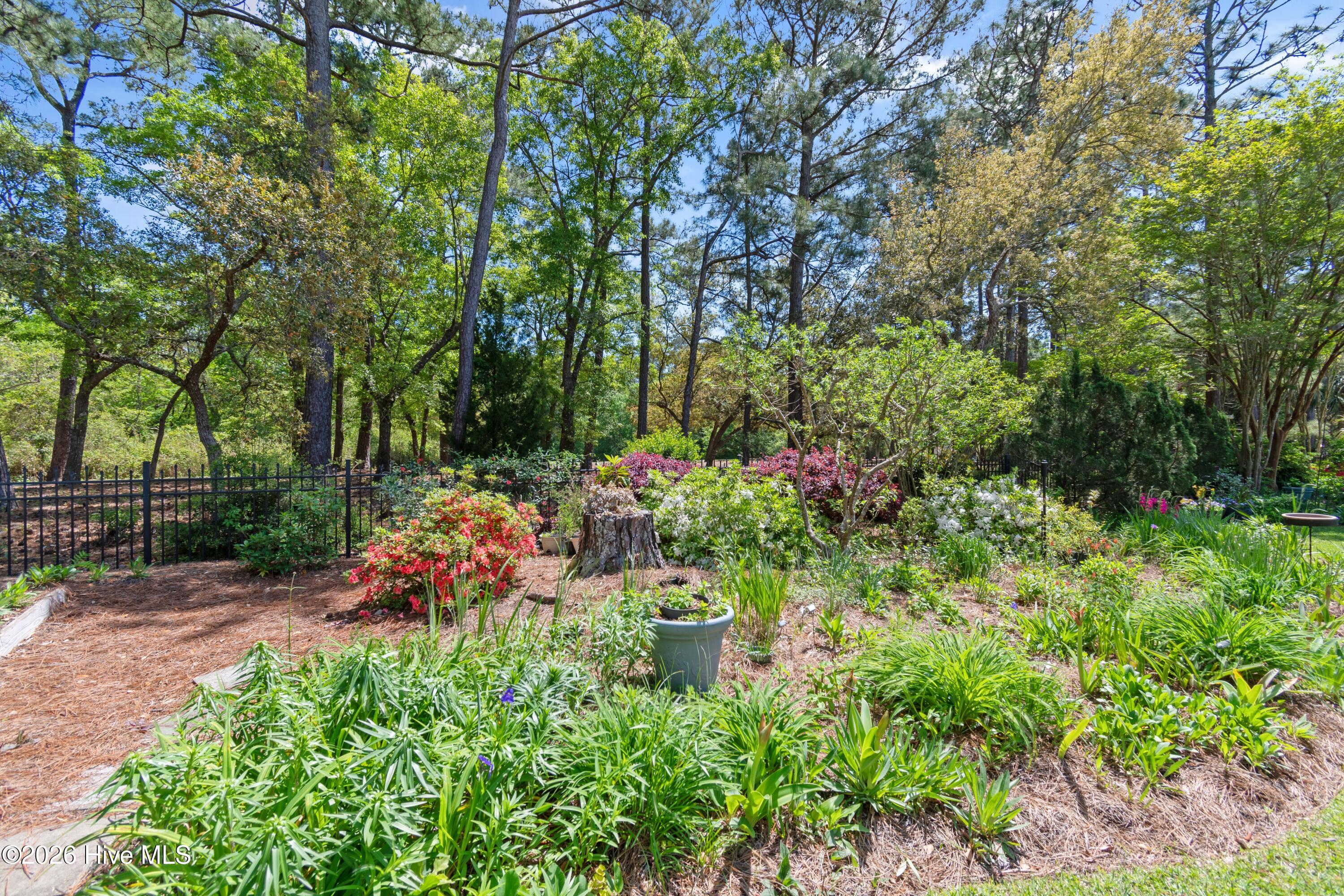 100567309 | Photo 44