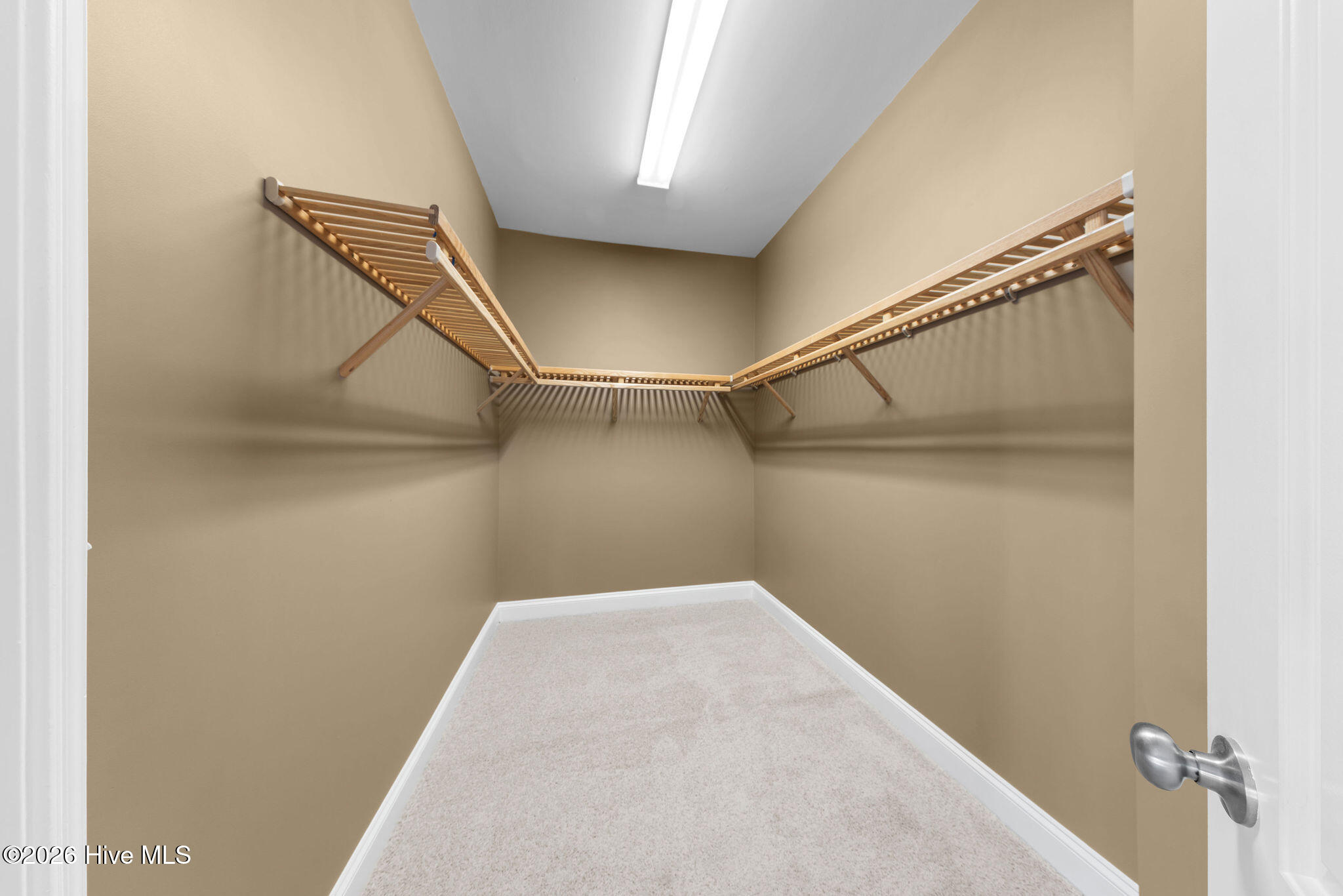 100552477 | Photo 25