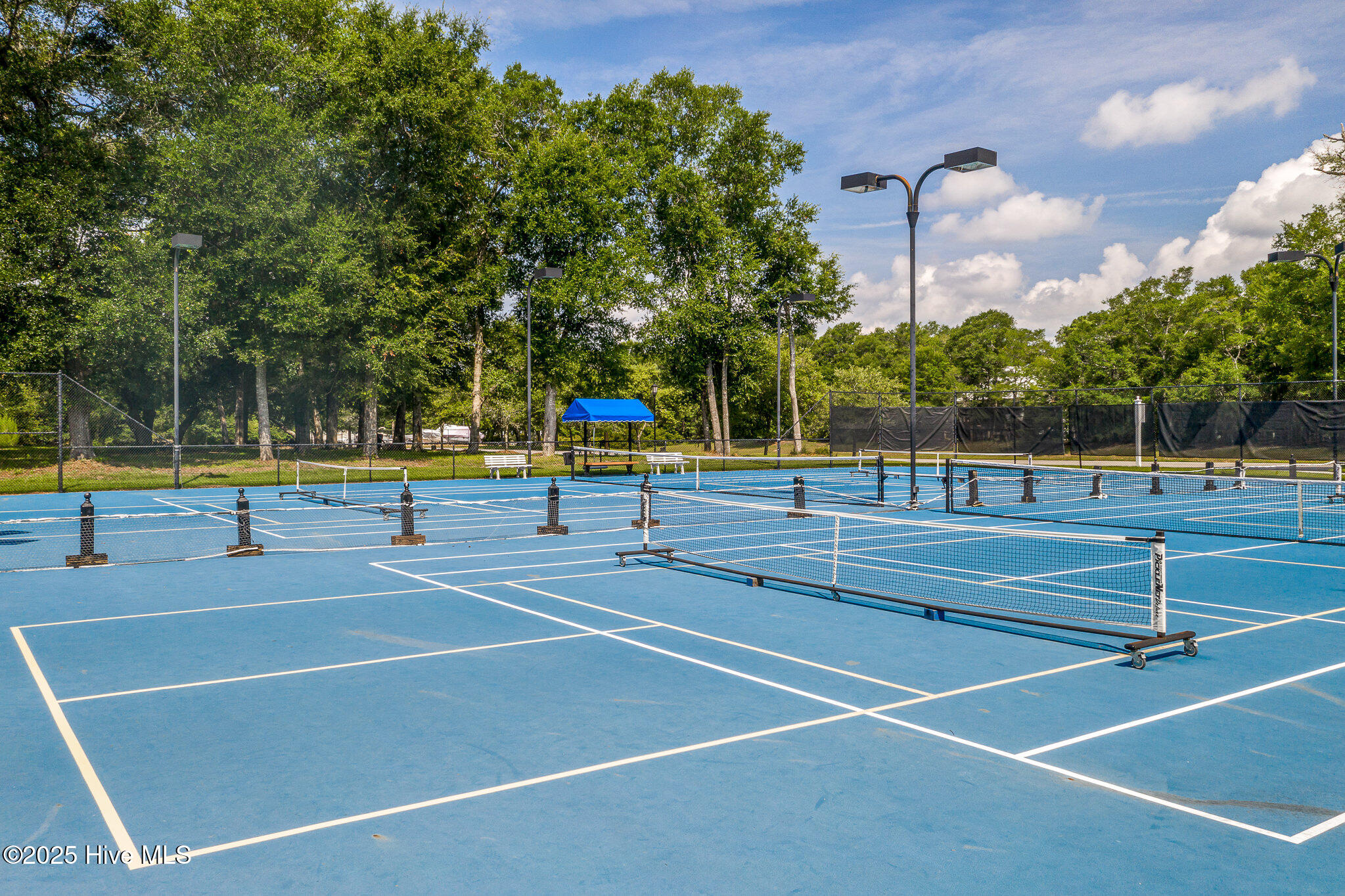 100536487 | Photo 16