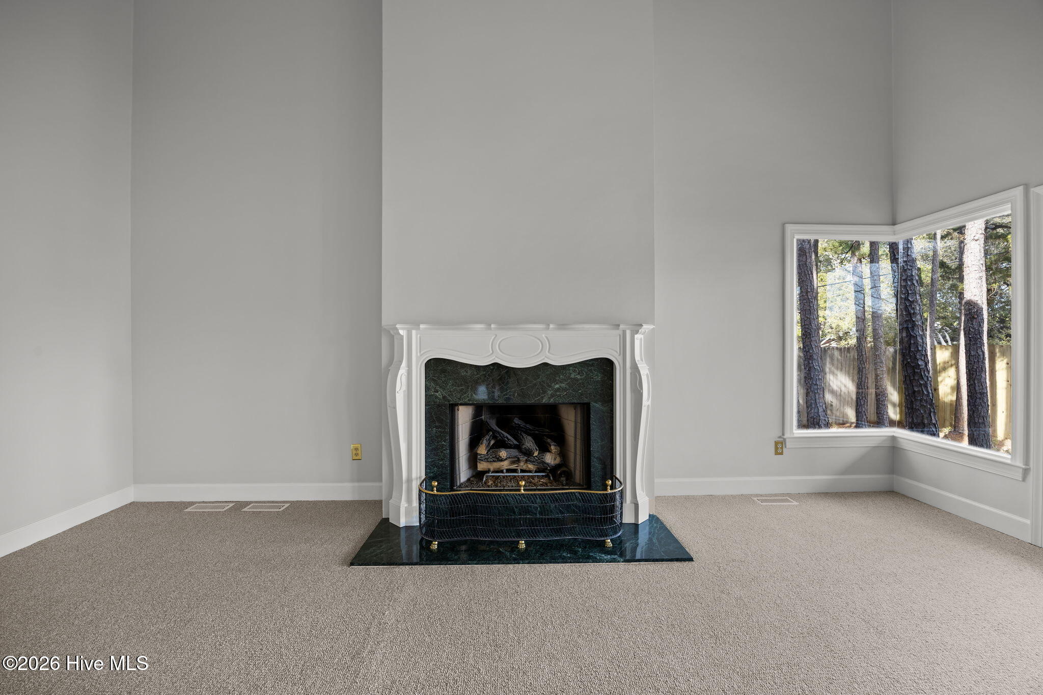 100551579 | Photo 11