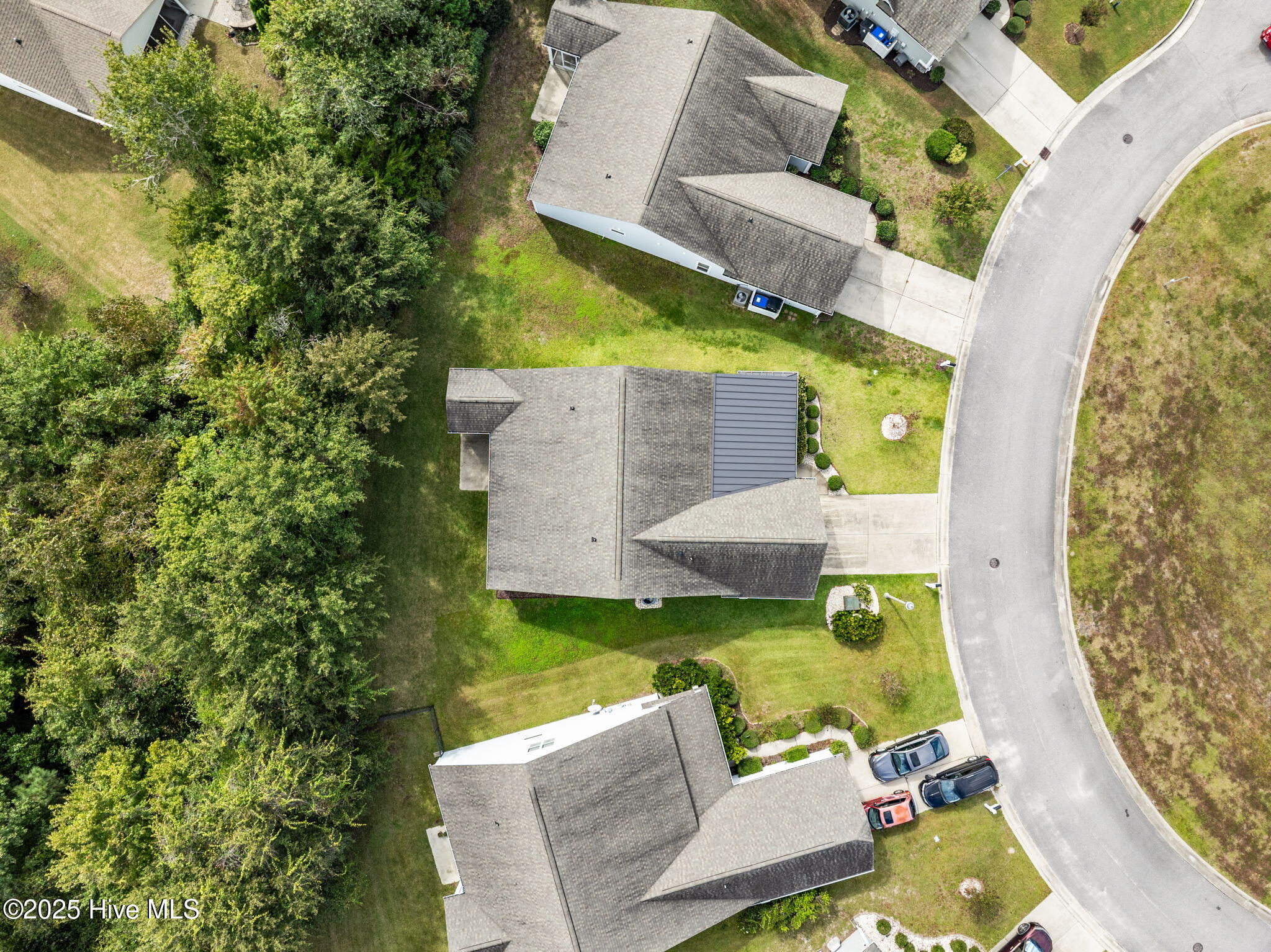 100515173 | Photo 51