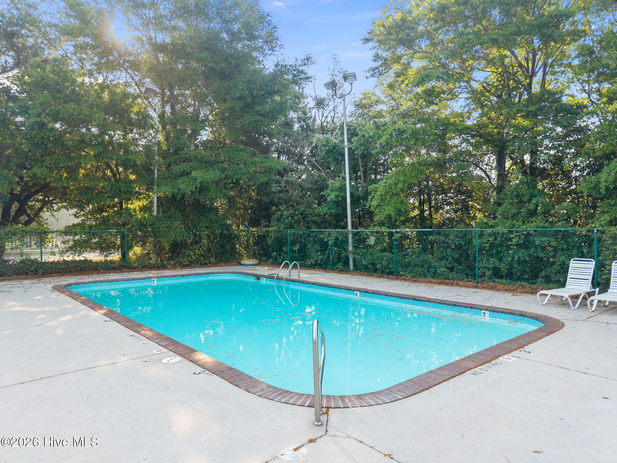 100566557 | Photo 32