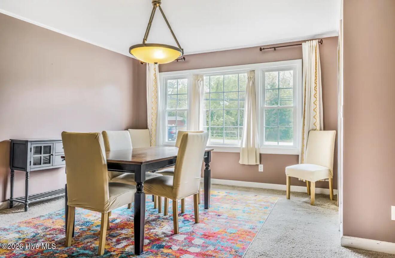 100564742 | Photo 10