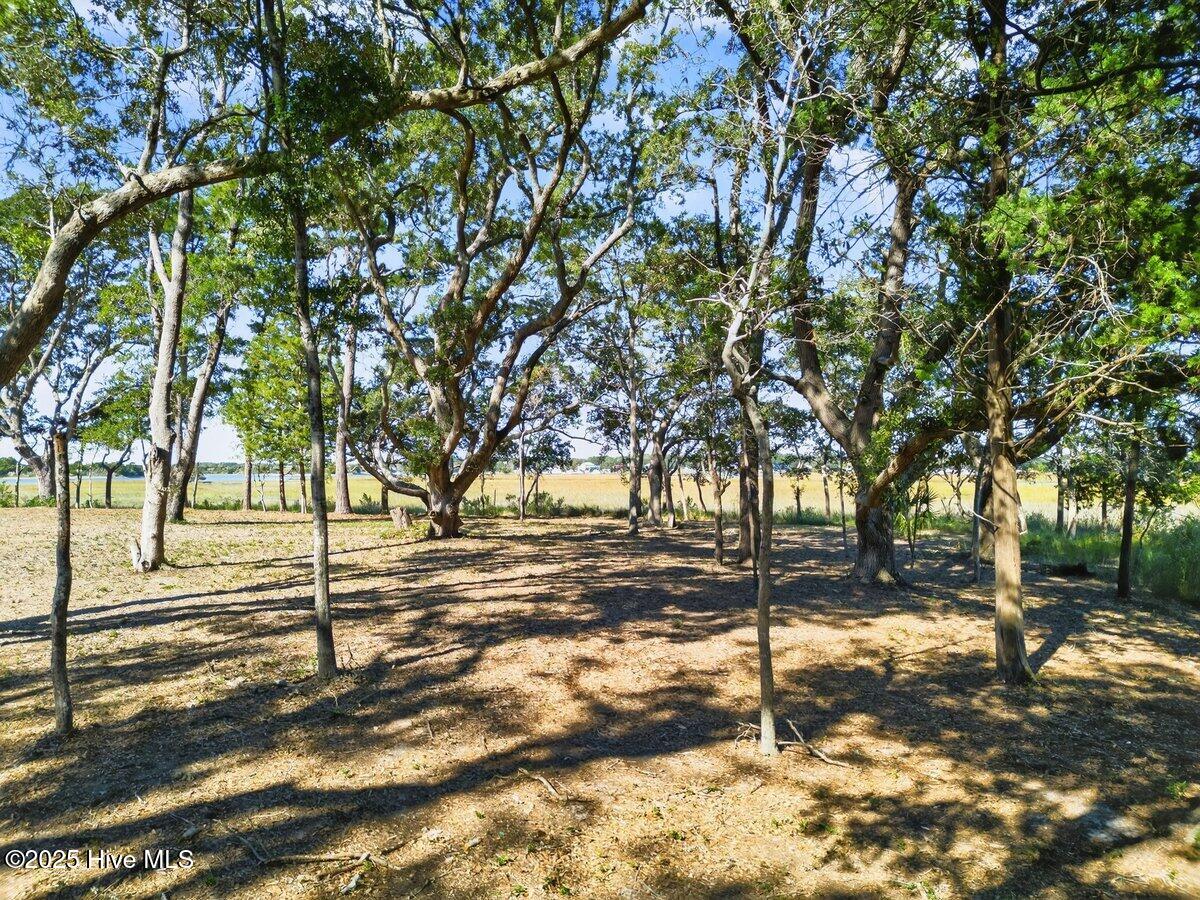 100536937 | Photo 15